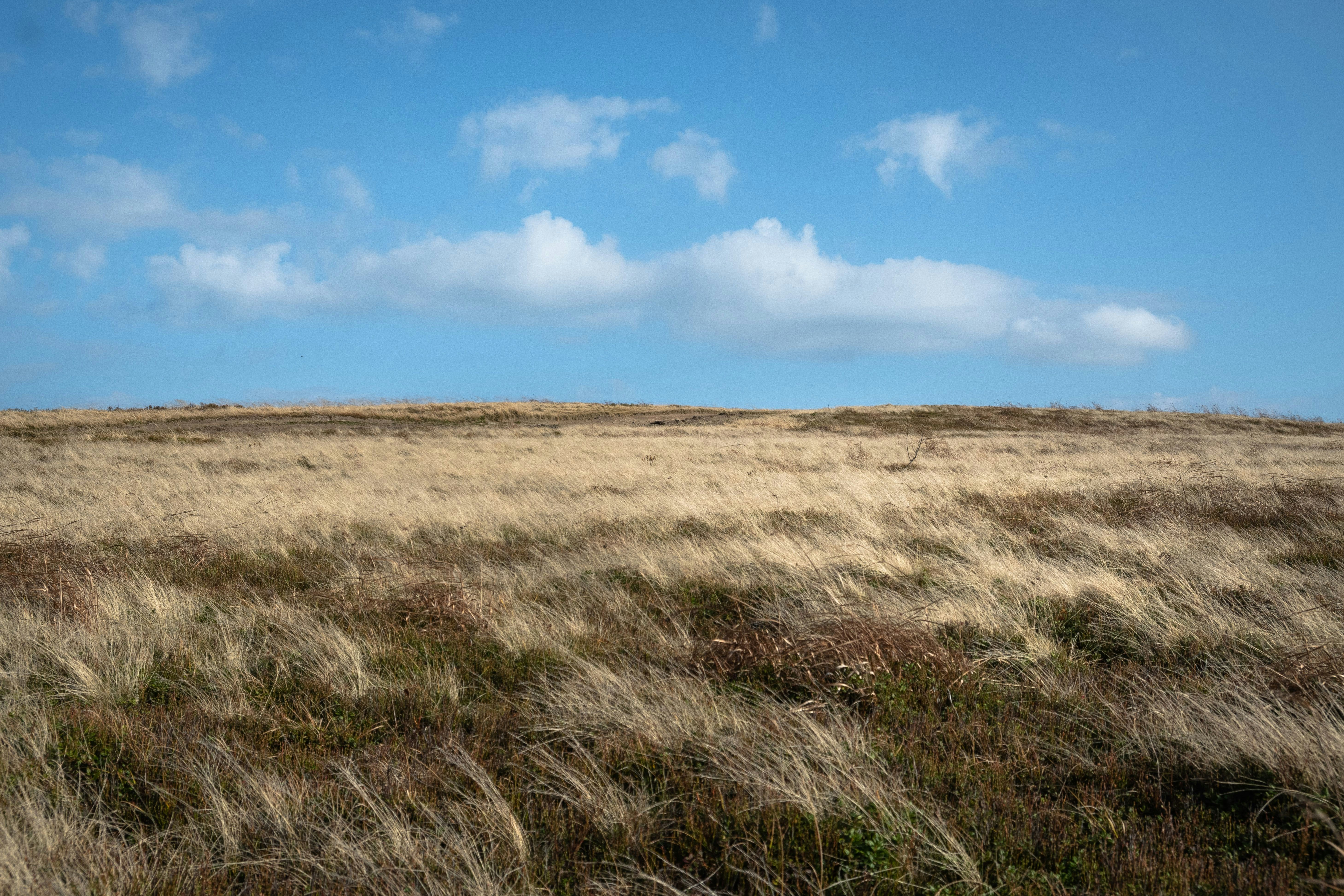 Photo by sevencolors