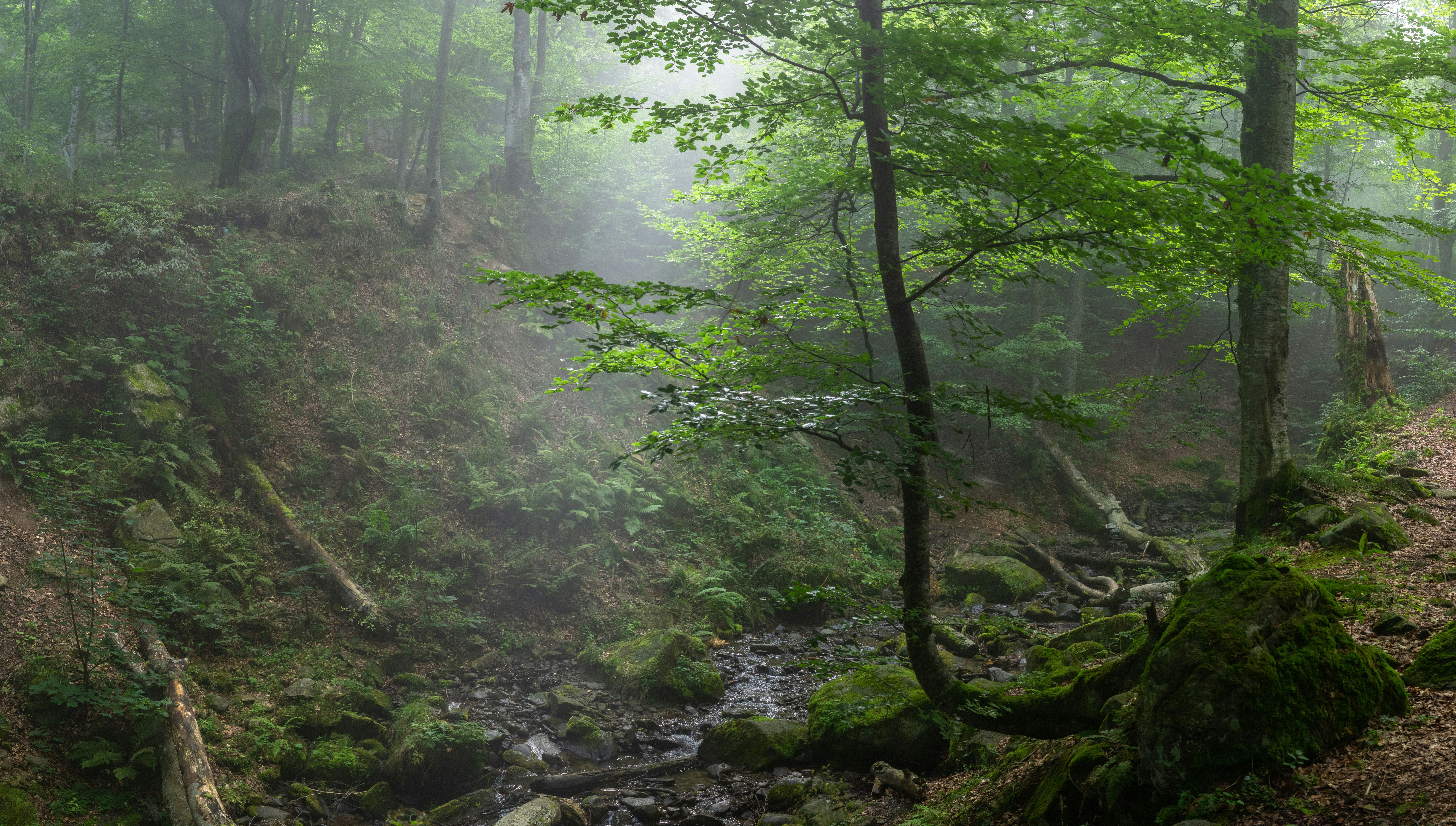 Photo by sevencolors