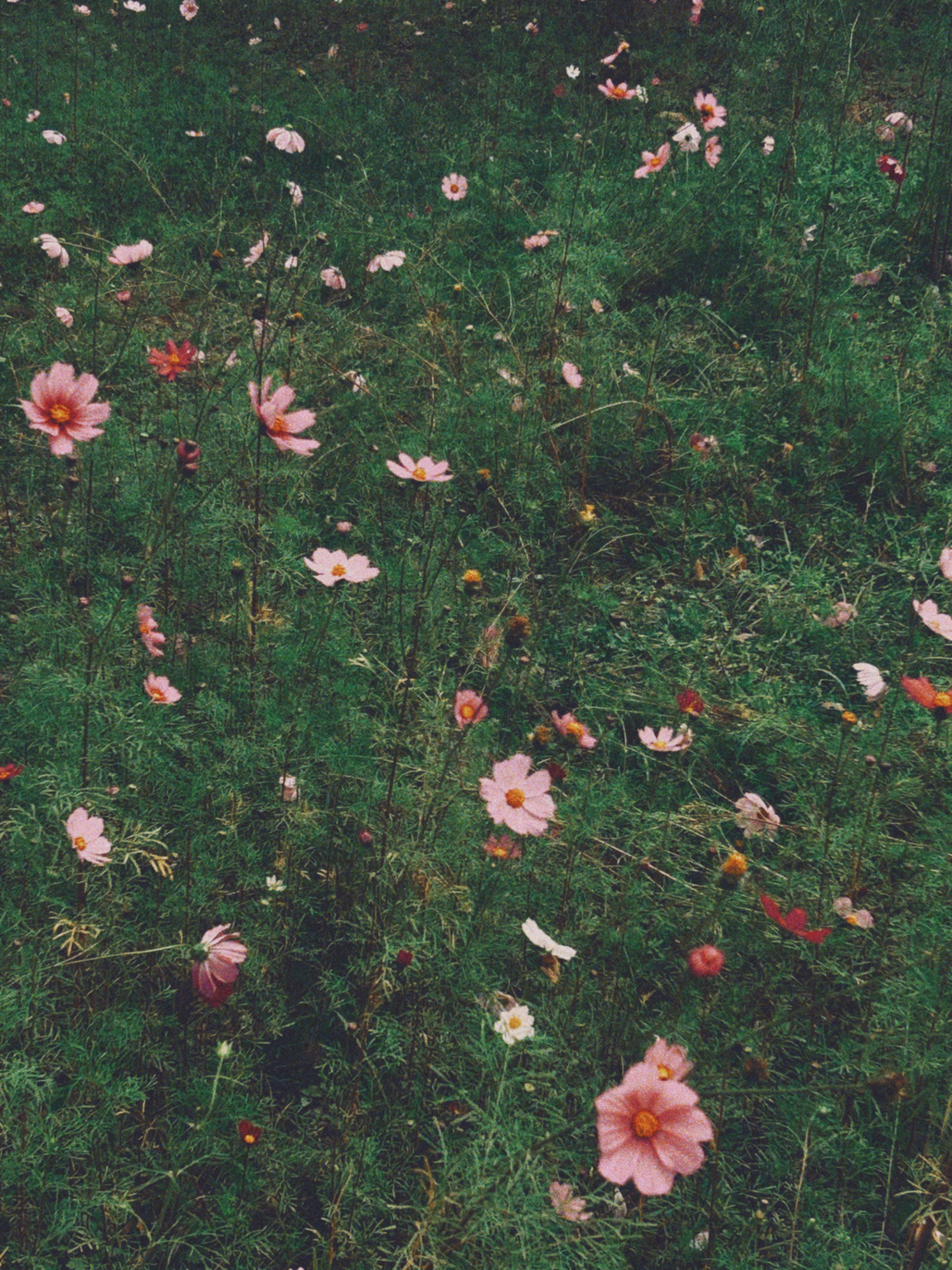 Photo by aryasphotodiary