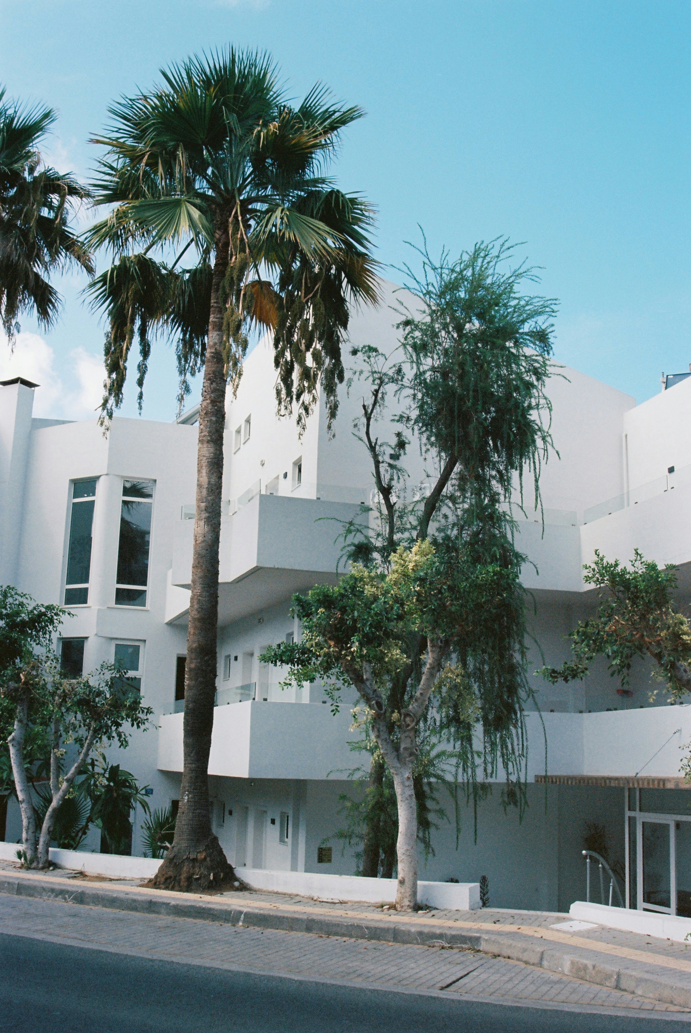A white building with palm trees in front of it