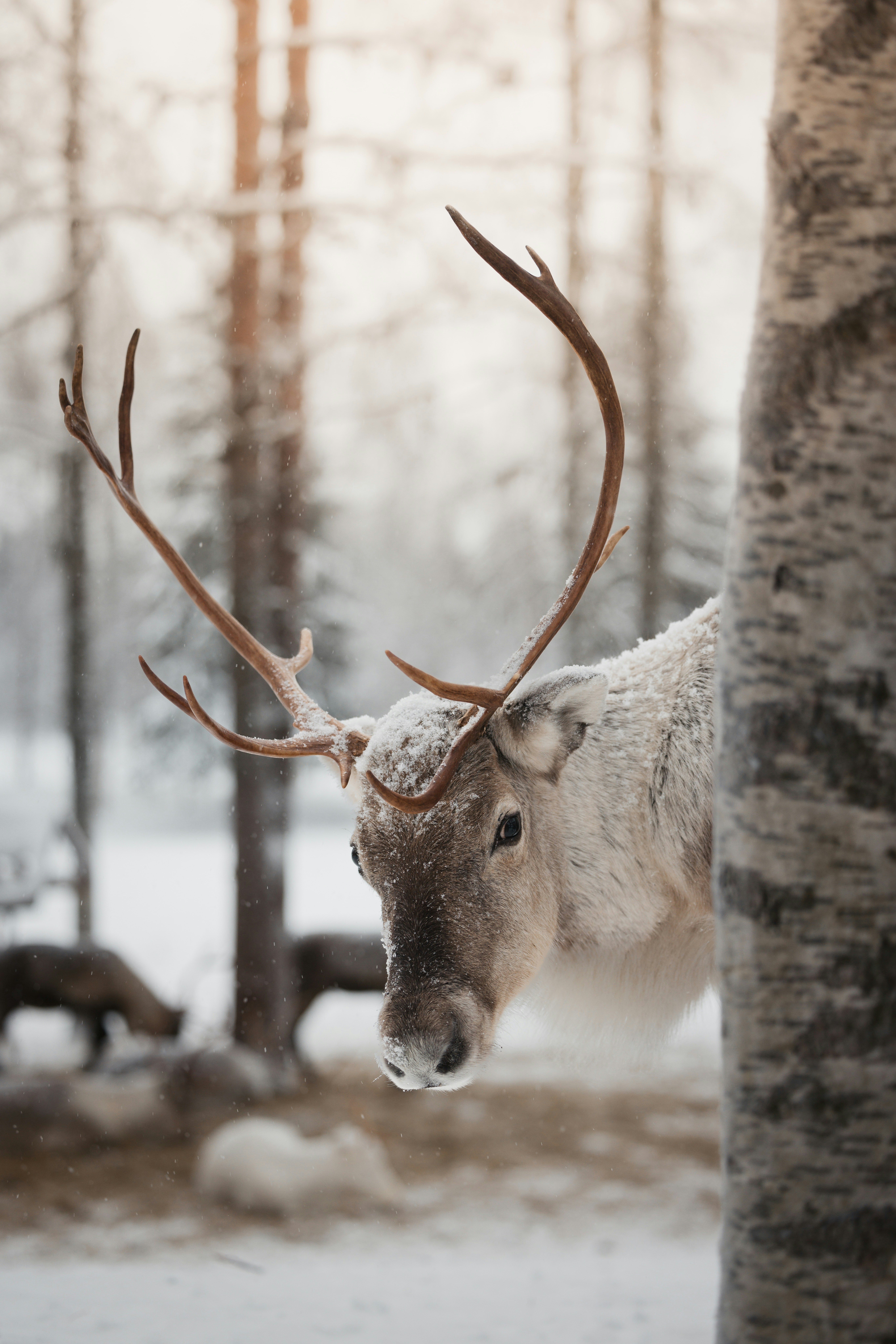 Photo by janoschphotos