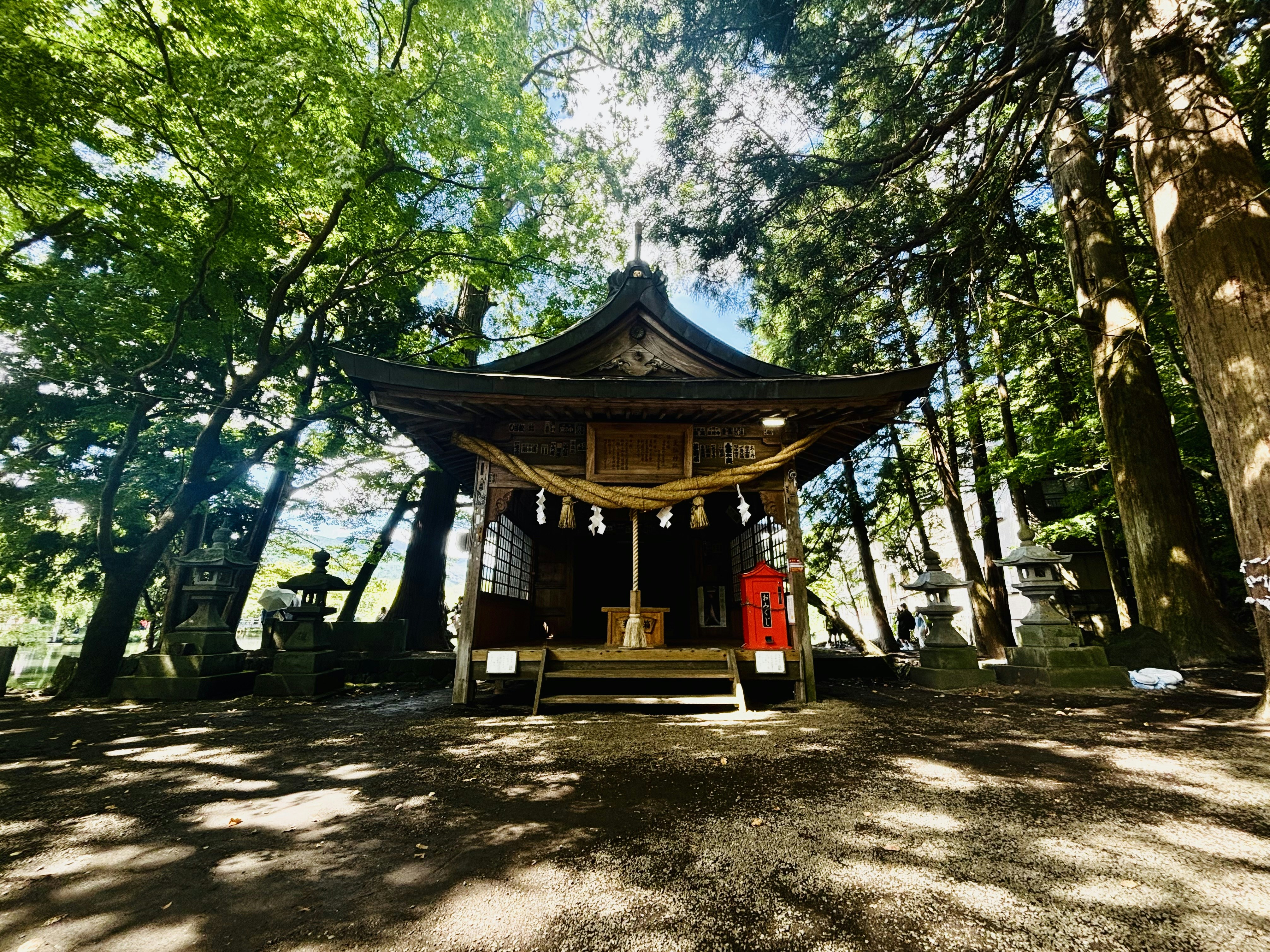 A small pagoda in the middle of a forest