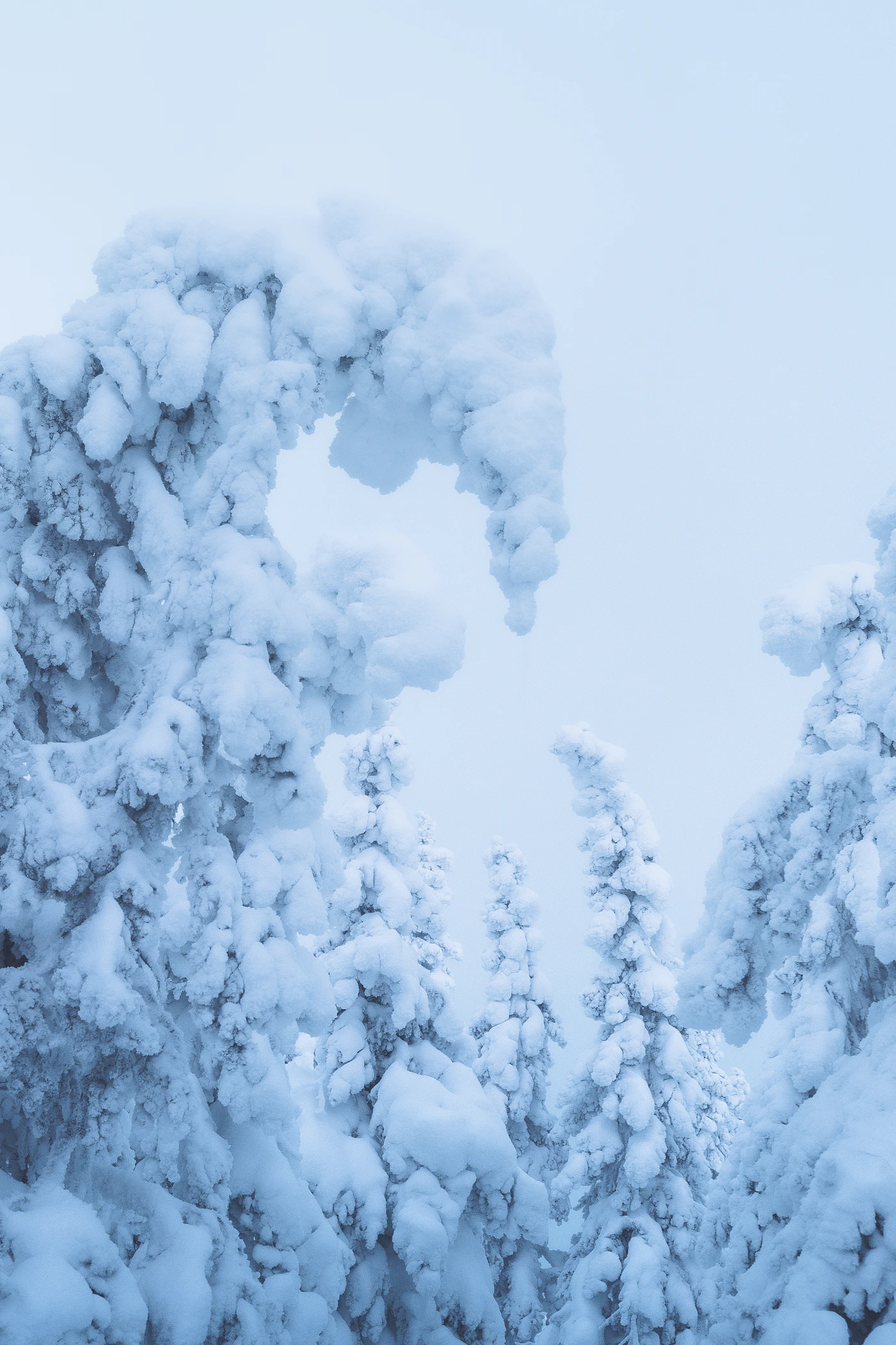 Mountain landscape for a Revelstoke family vacation - Photo from Unsplash