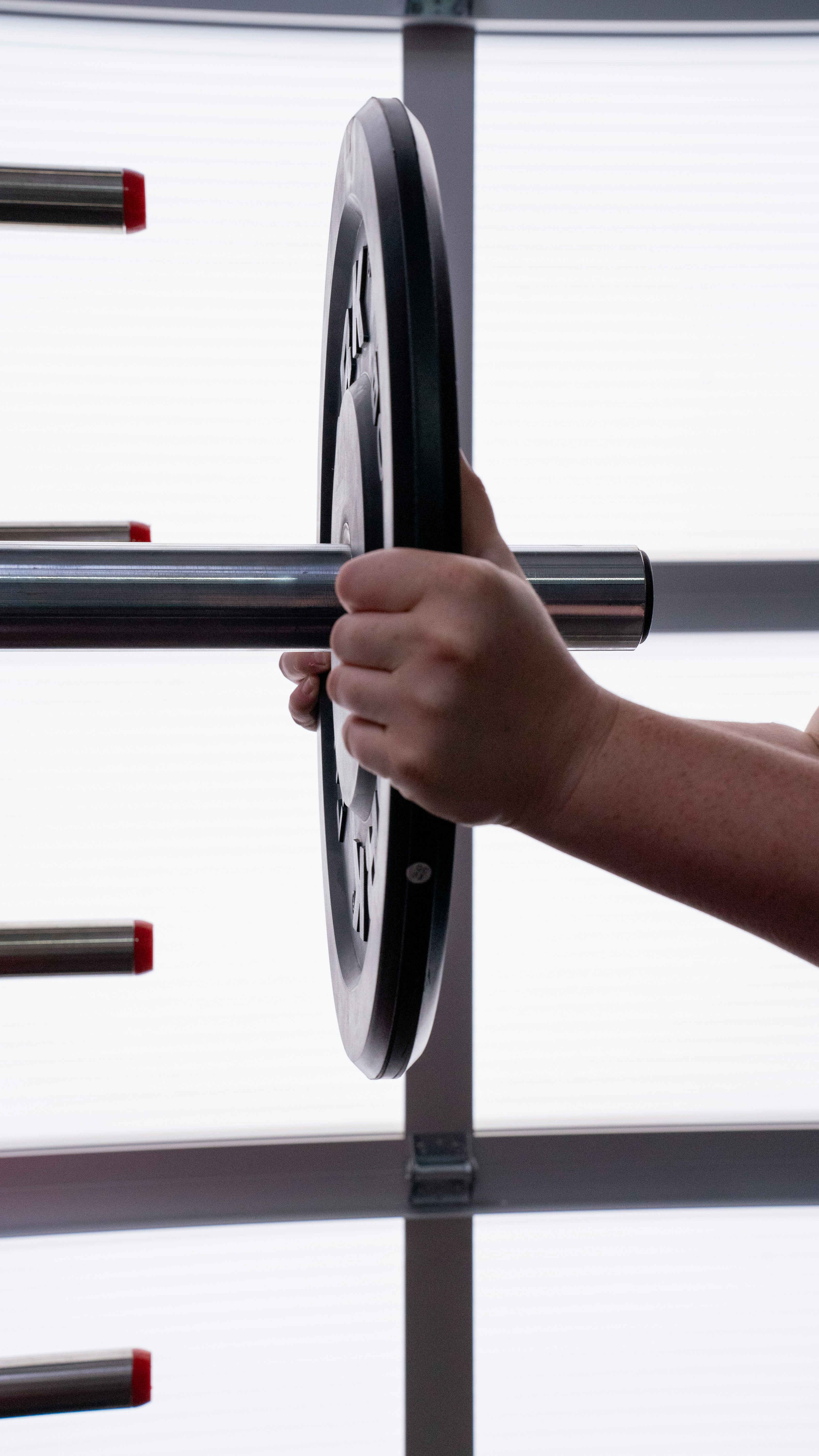 8 High-Strength Carabiners Zipline Gear Guide for Maximum Durability