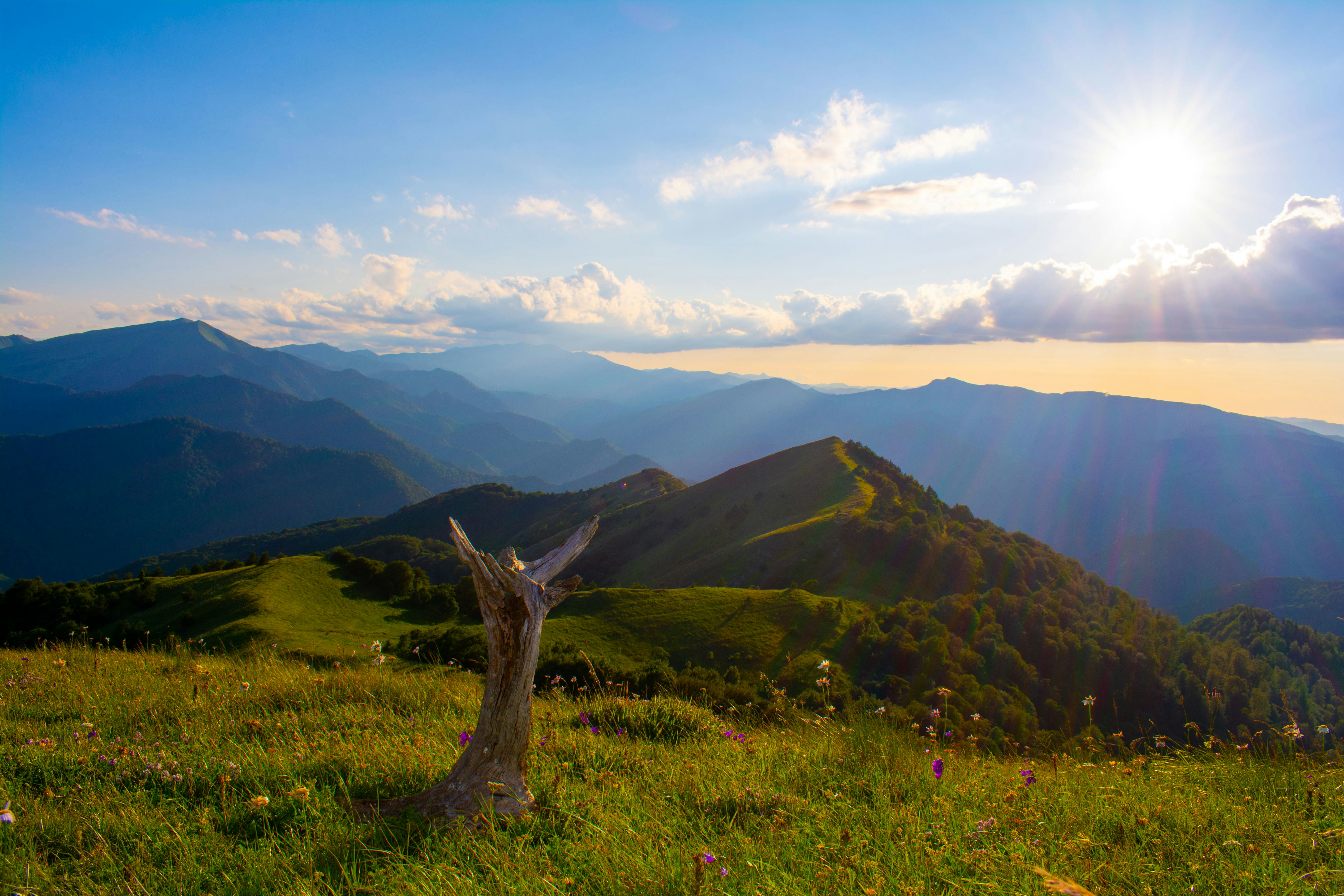 Photo by outdoorgirlll