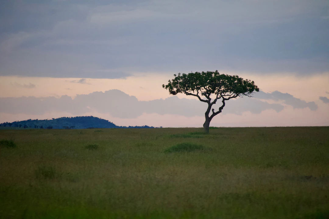 17-Day Budget Southern Africa Itinerary: Eastern Gems
