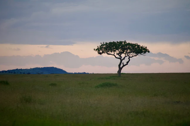 17-Day Budget Southern Africa Itinerary: Eastern Gems