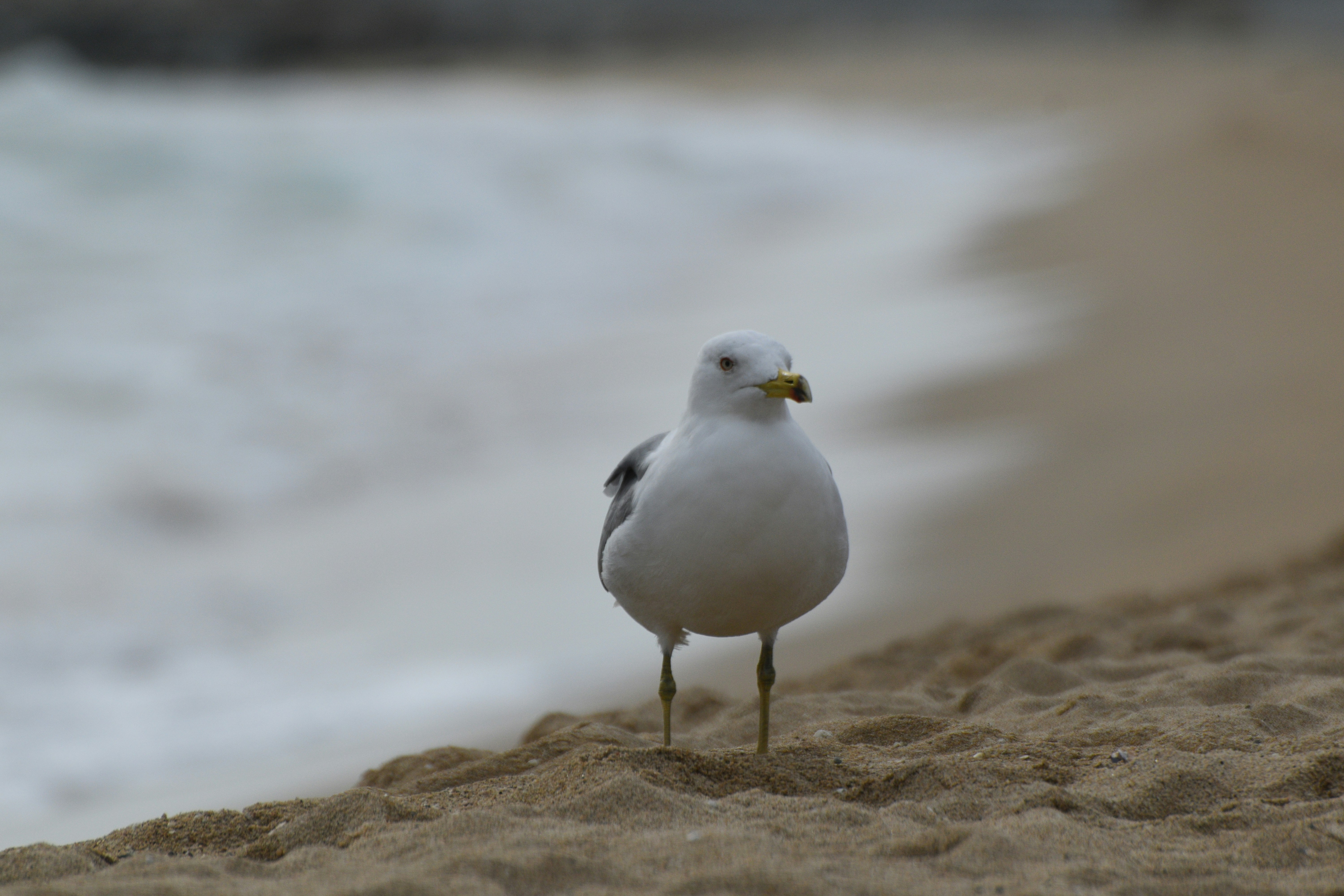 Photo by niloufarmirhadi