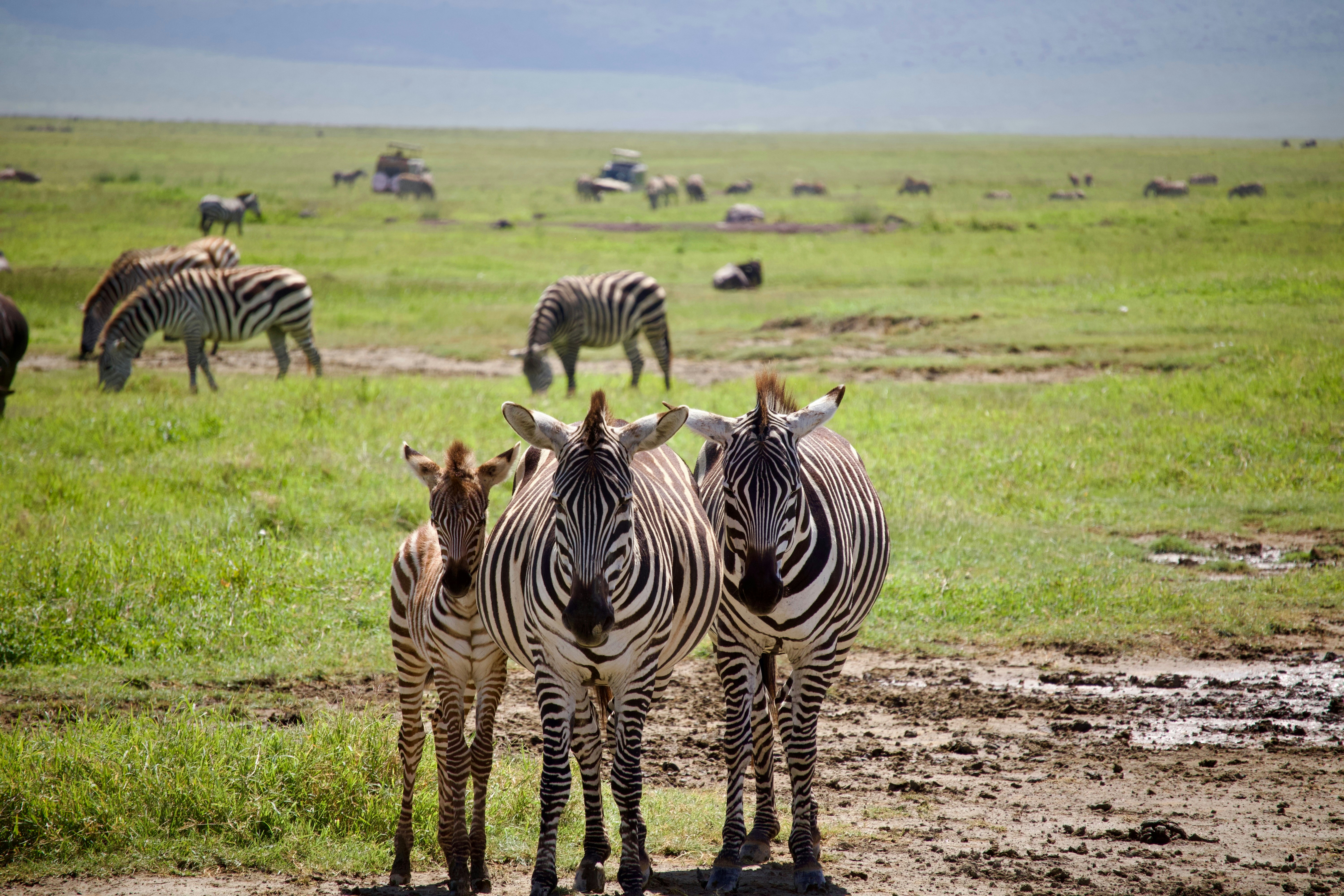 Photo by wilsonsharpshots