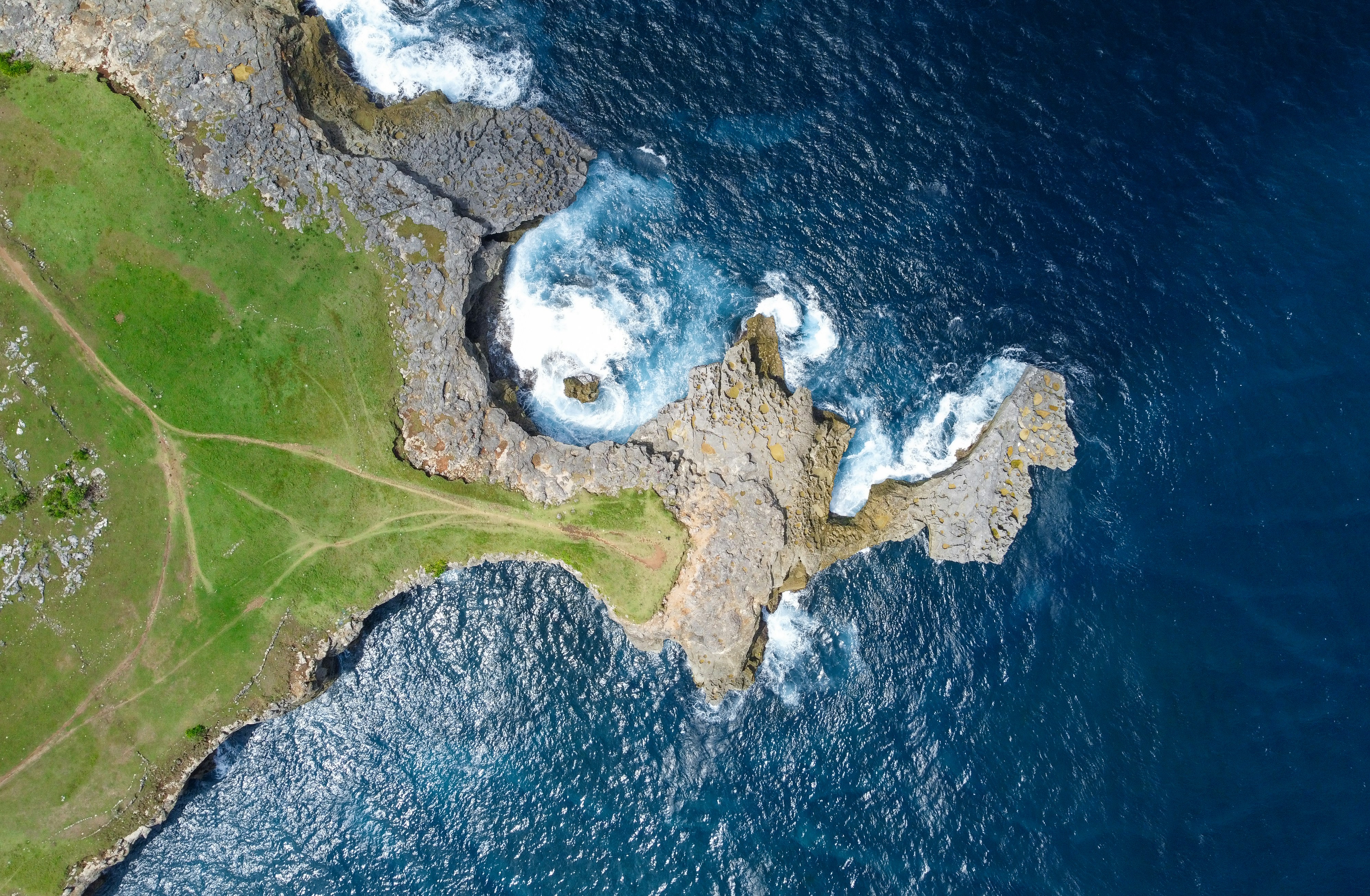 An aerial view of a grassy area next to the ocean