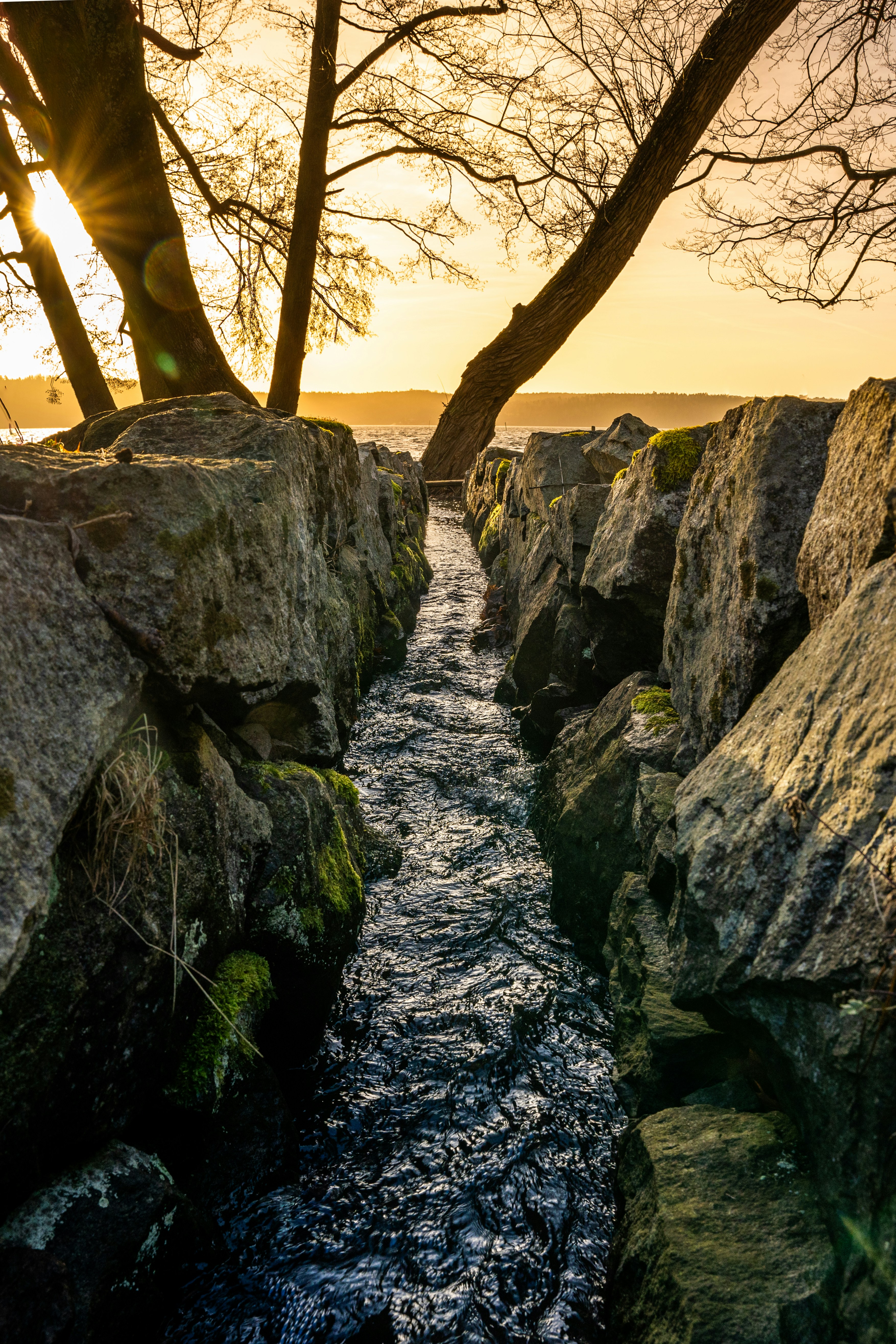 A river running between two large rocks next to a tree