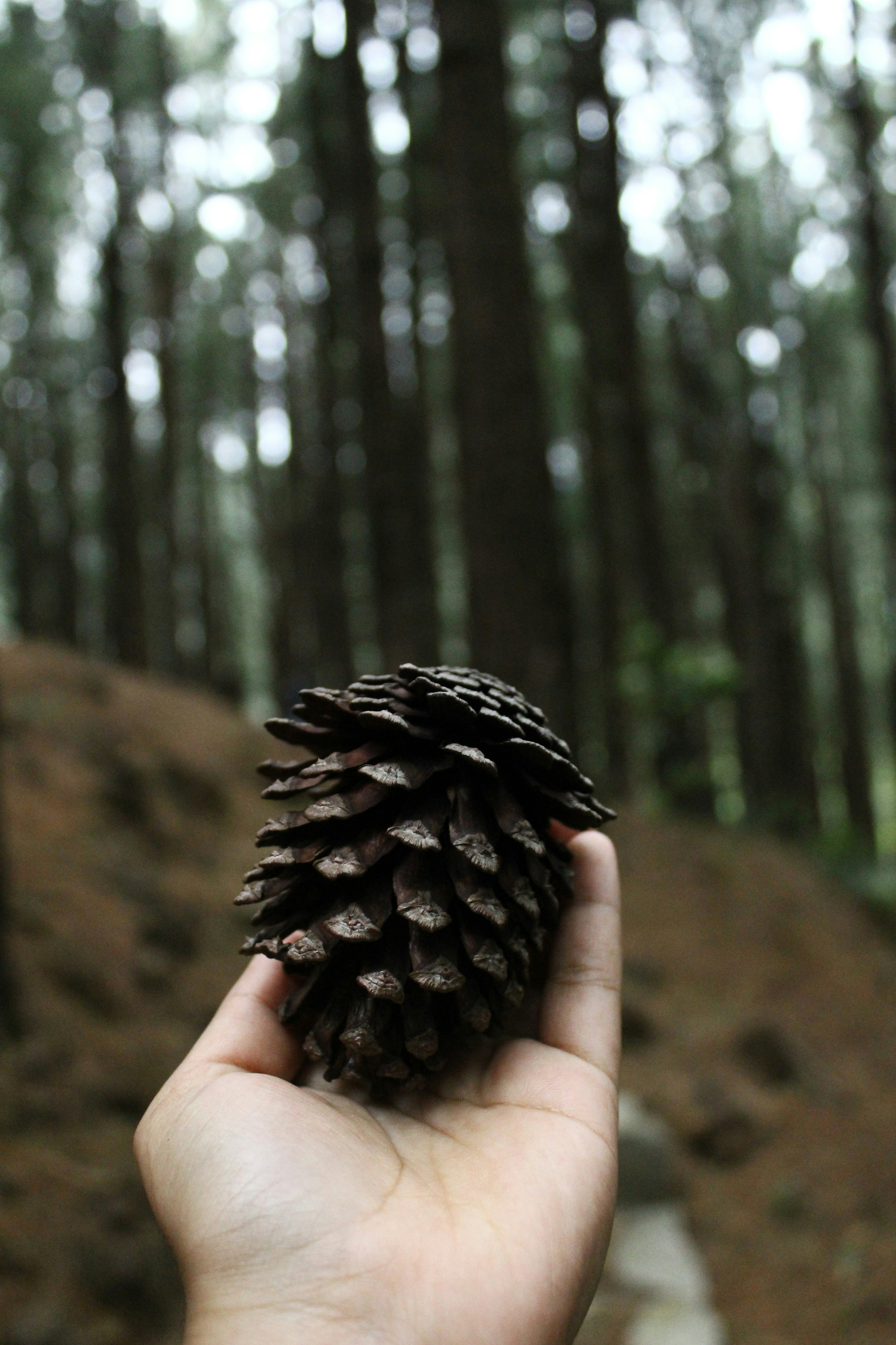 Photo by jules_unsplash