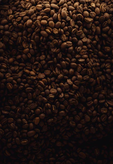A large pile of coffee beans sitting on top of a table