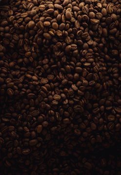 A large pile of coffee beans sitting on top of a table
