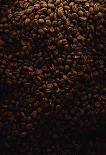 A large pile of coffee beans sitting on top of a table