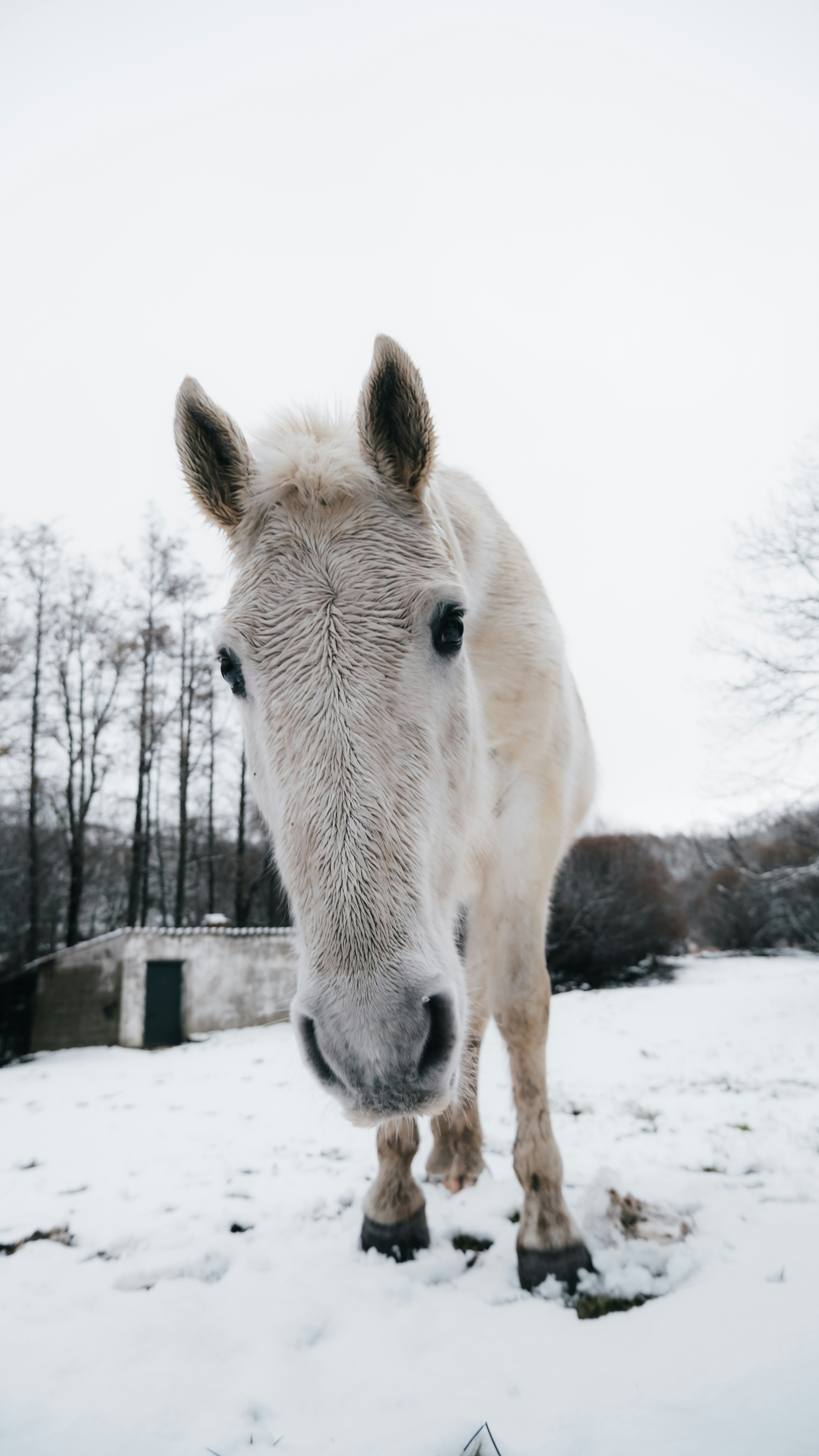 Photo by enelairee