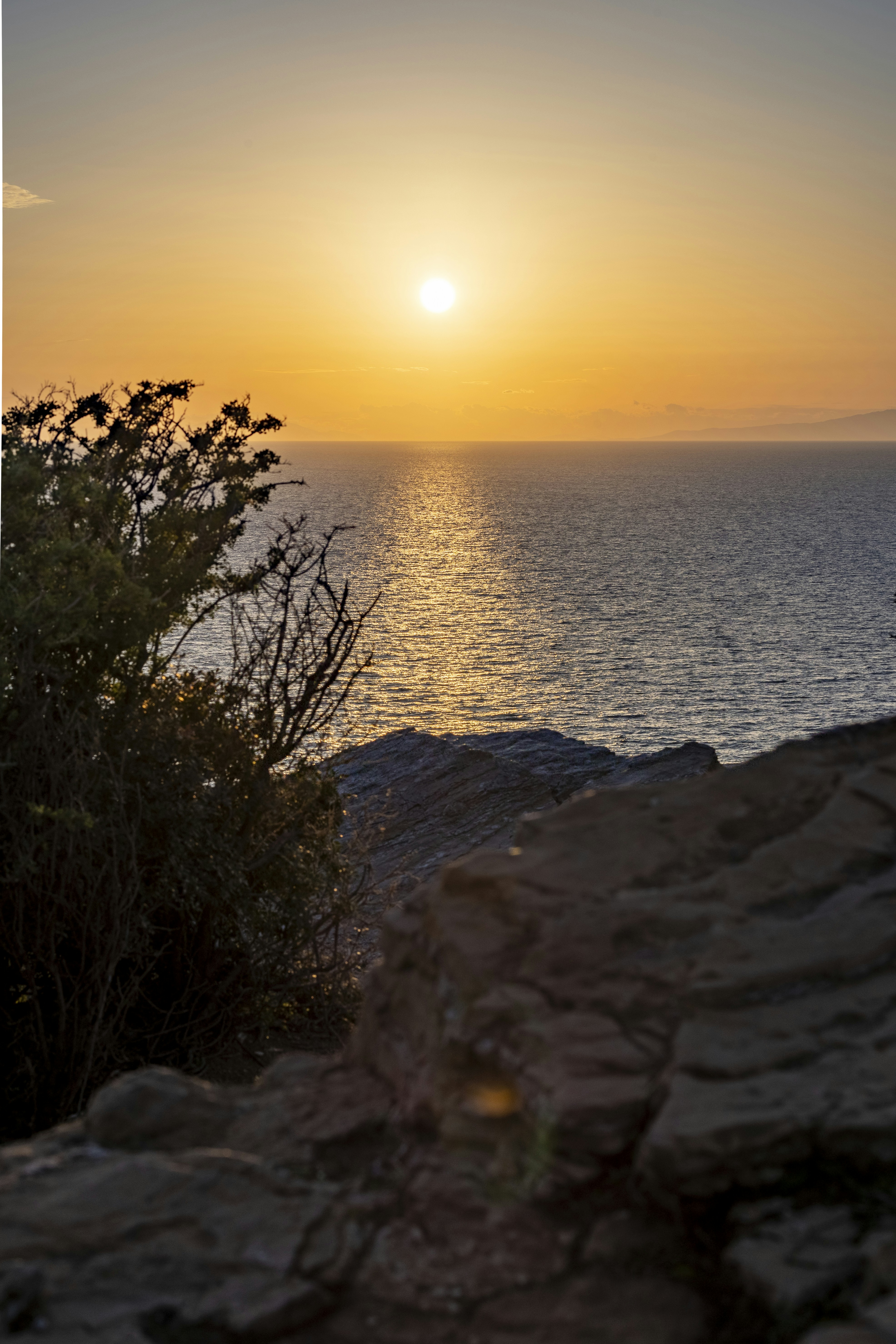 Photo by matthieur68