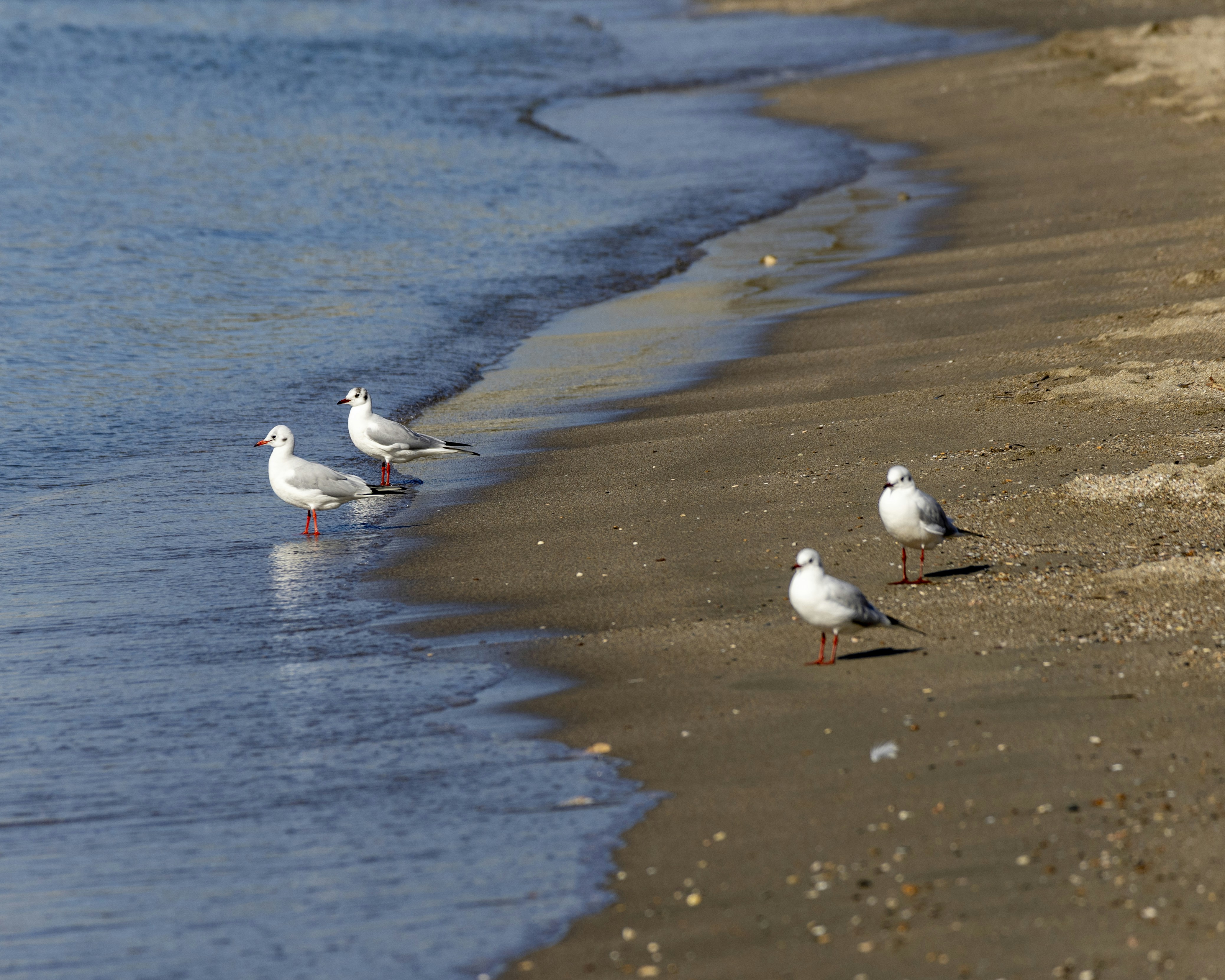 Photo by matthieur68