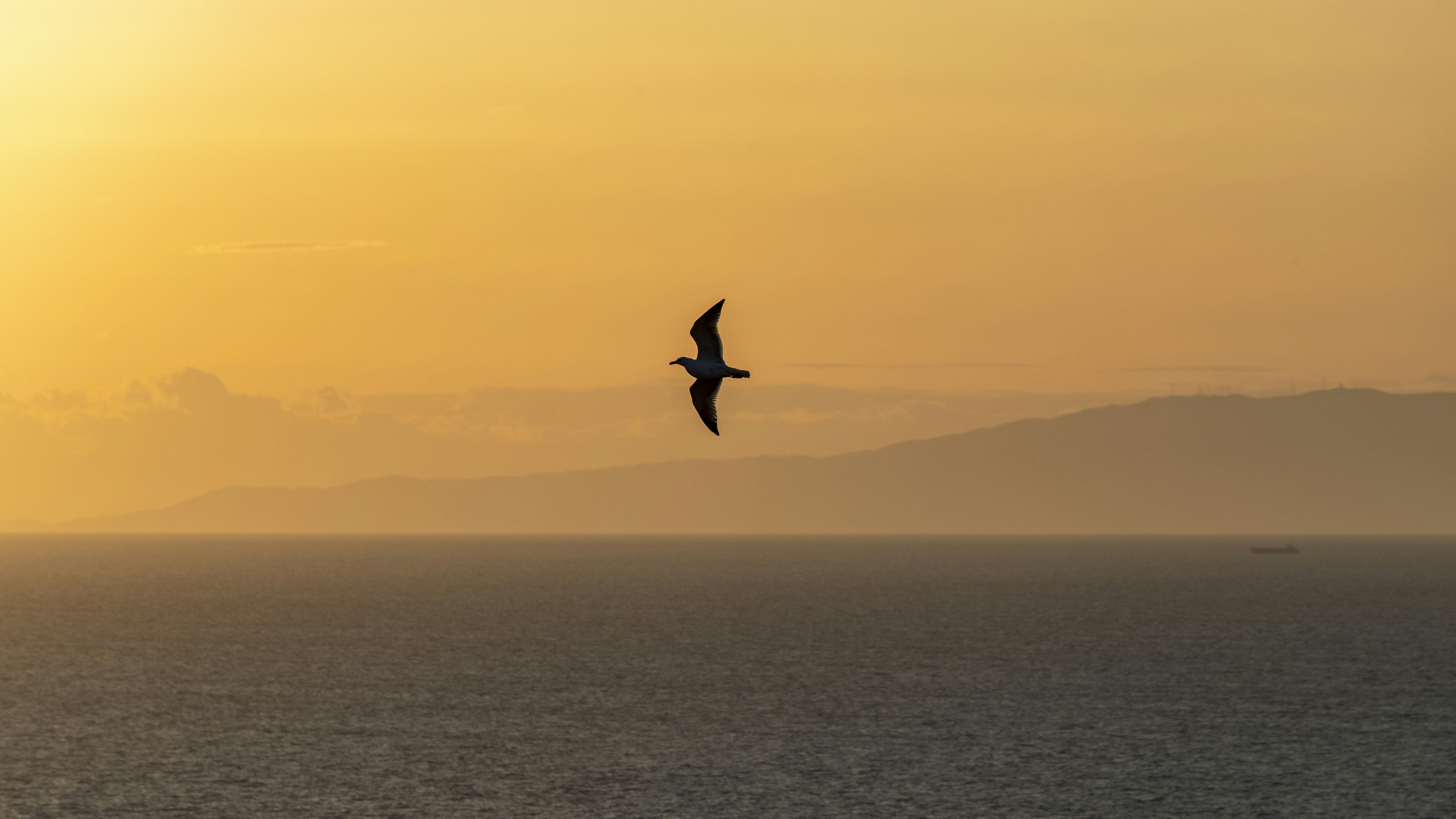 Photo by matthieur68