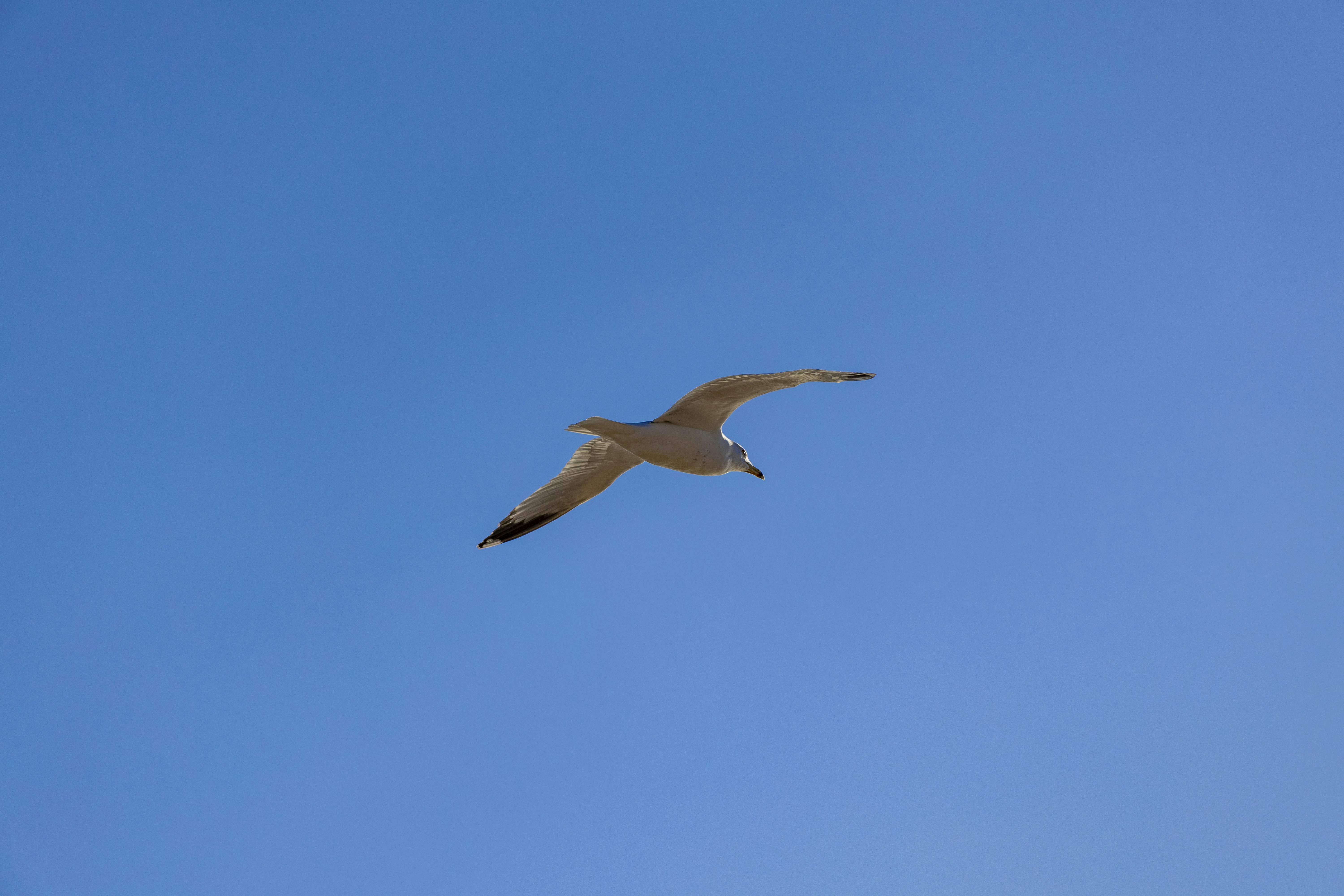 Photo by matthieur68