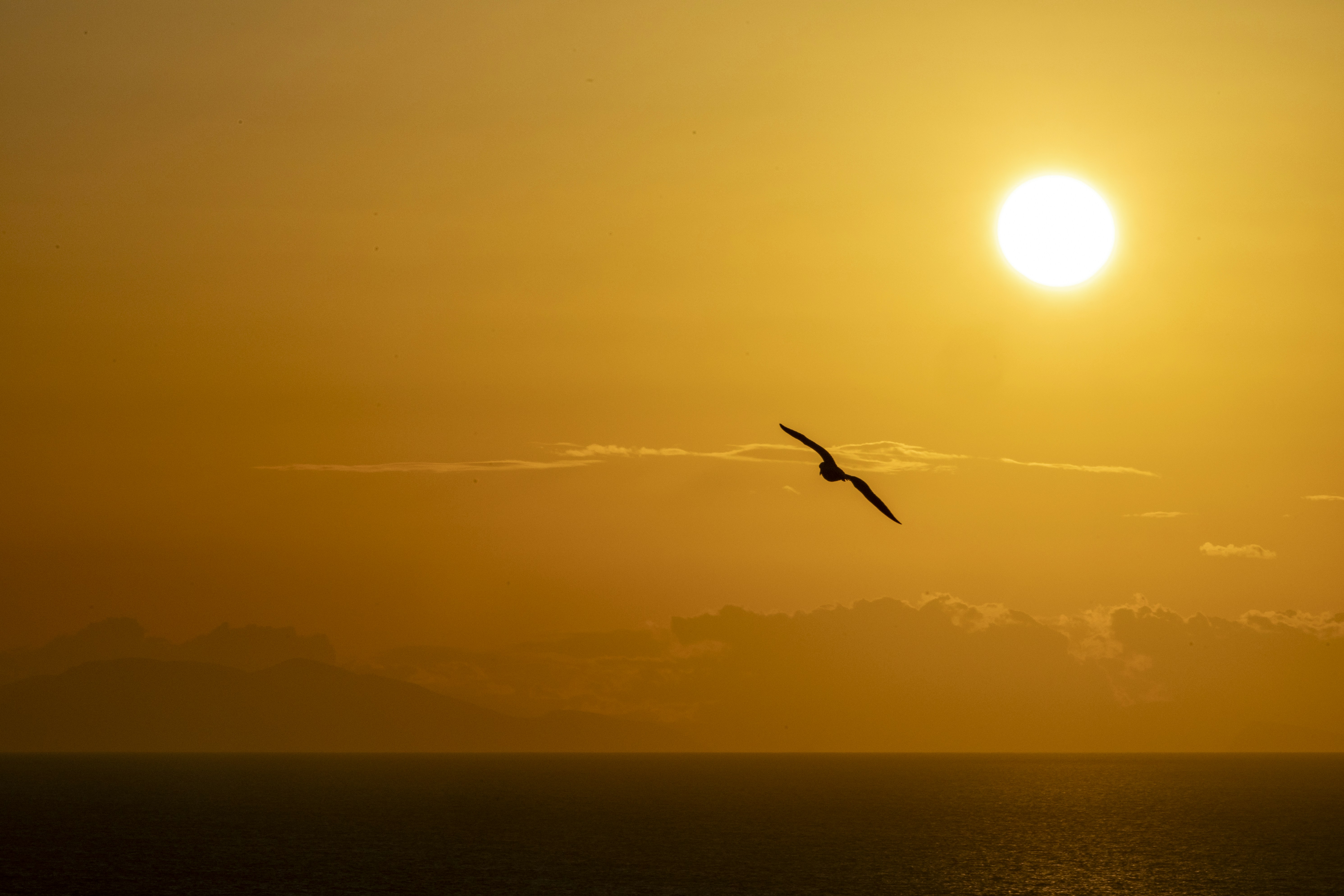 Photo by matthieur68