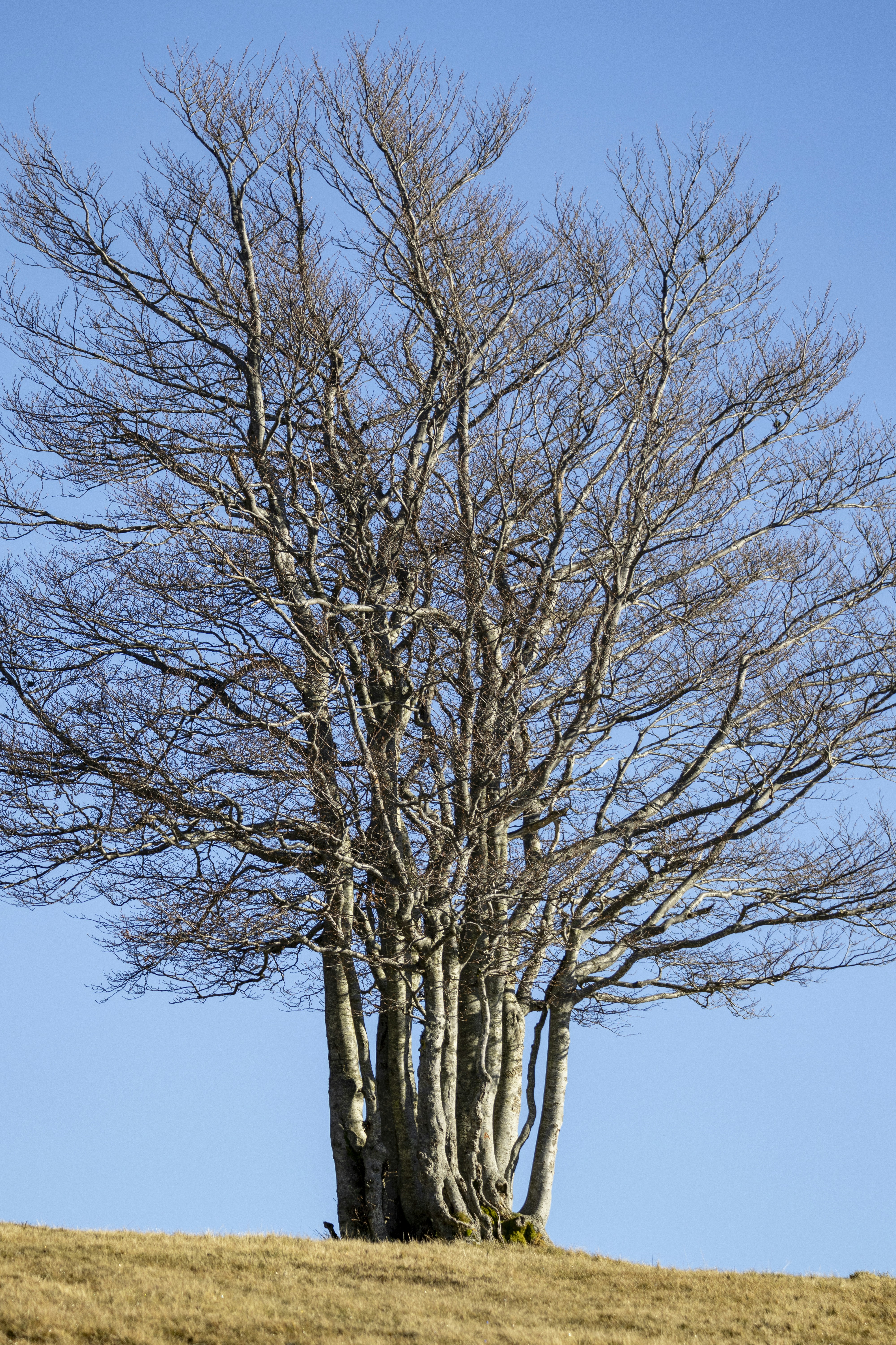 Photo by matthieur68