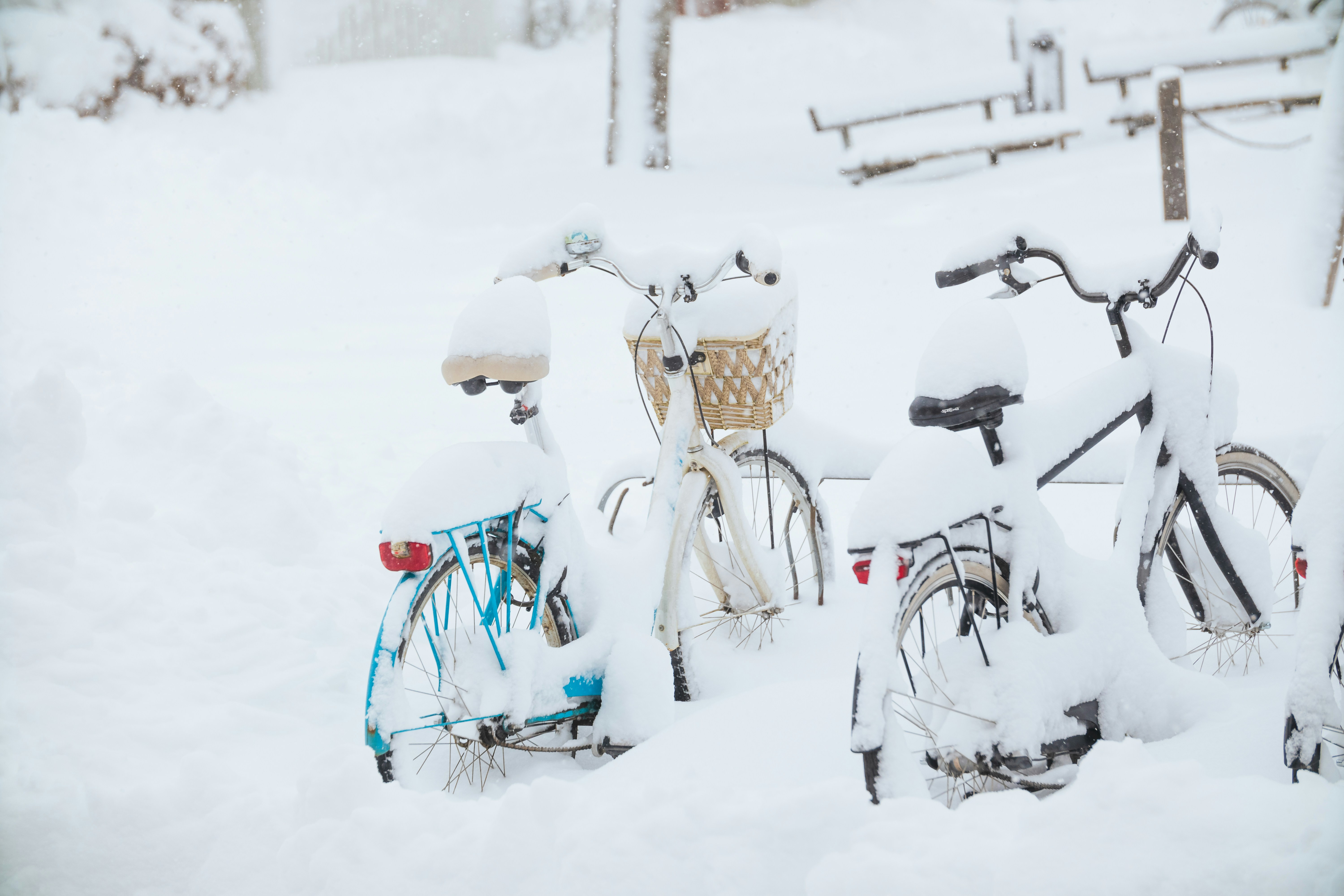 Photo by raedkasrawani