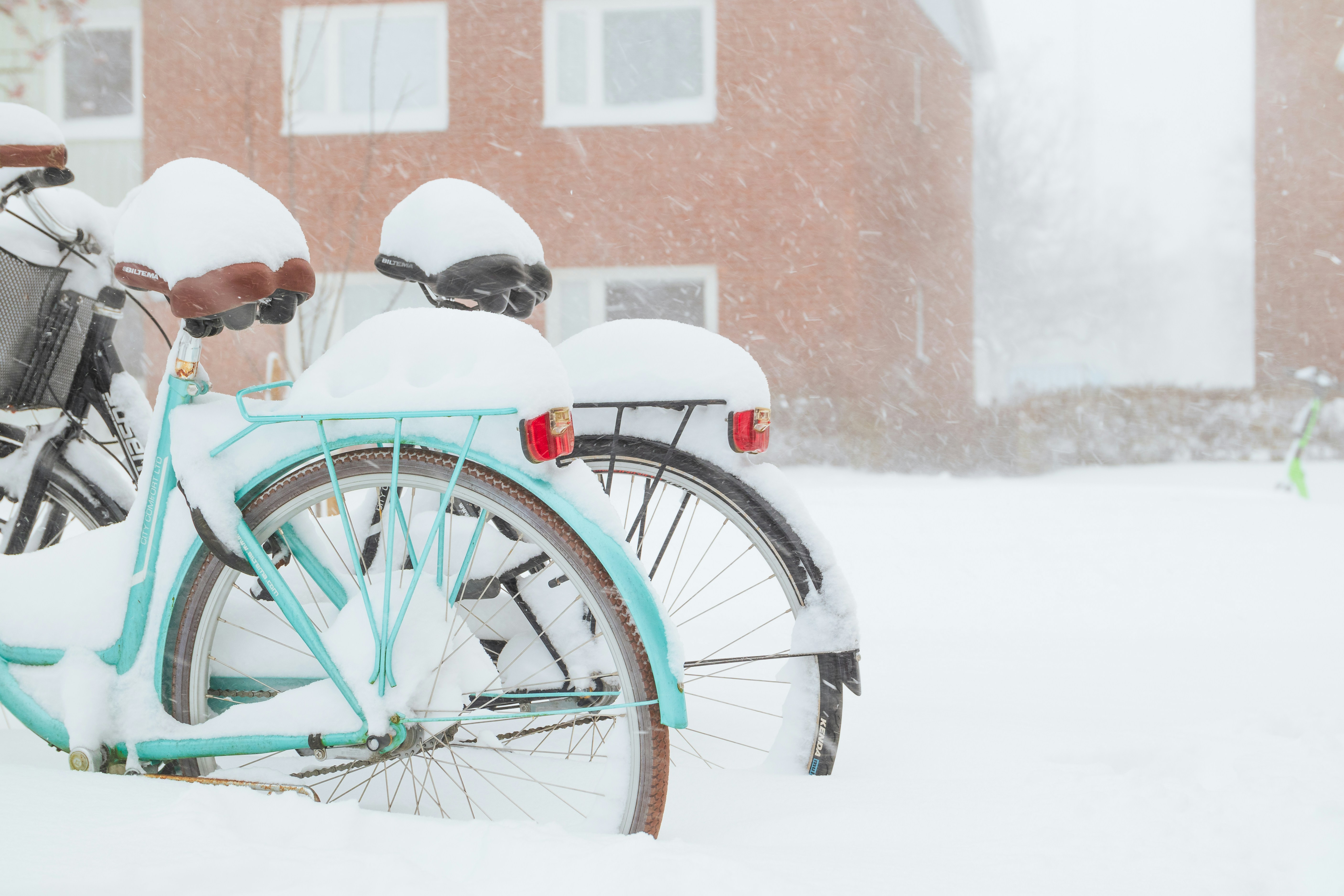 Photo by raedkasrawani