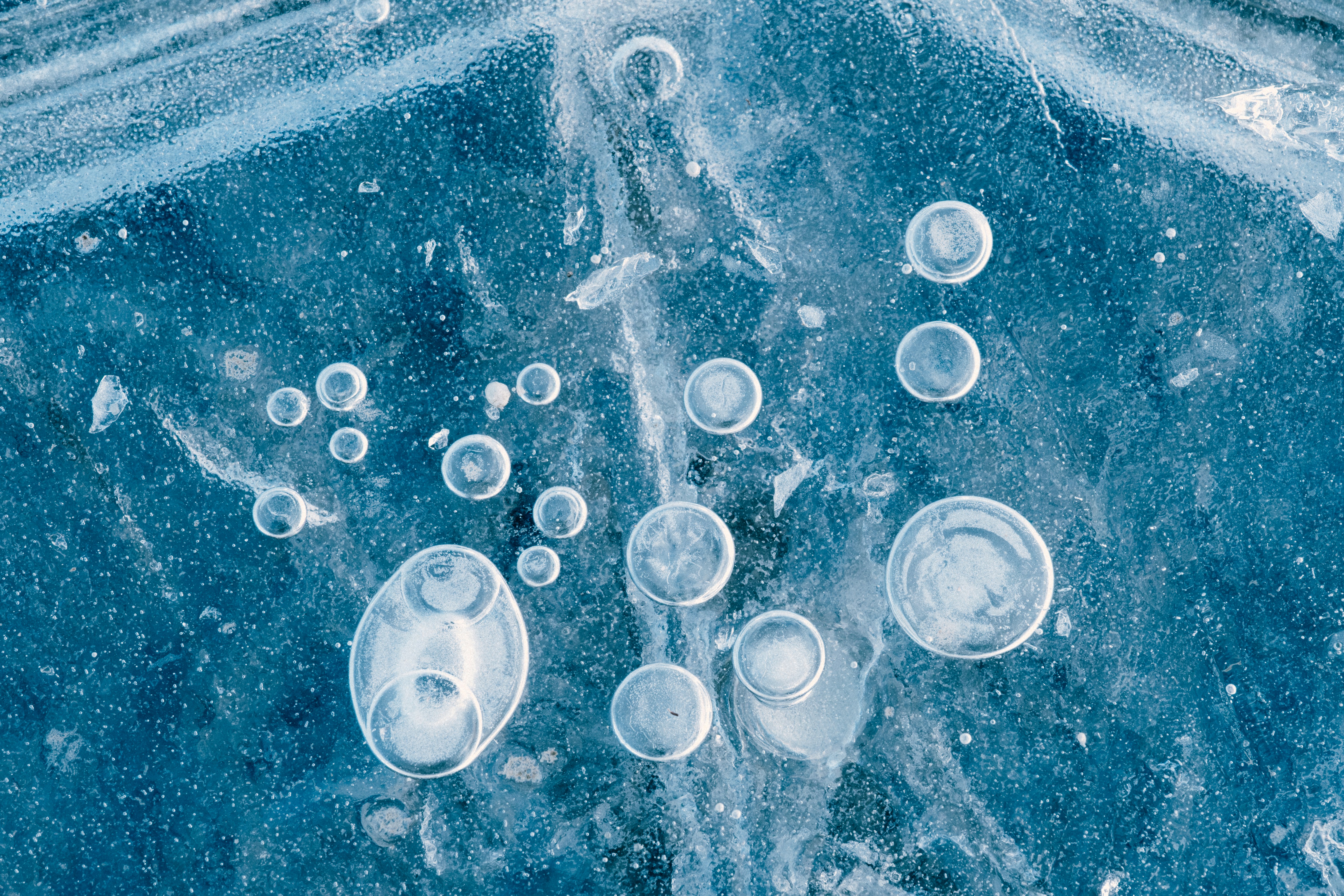 The Hidden Life in Ice Cores (image credits: unsplash)