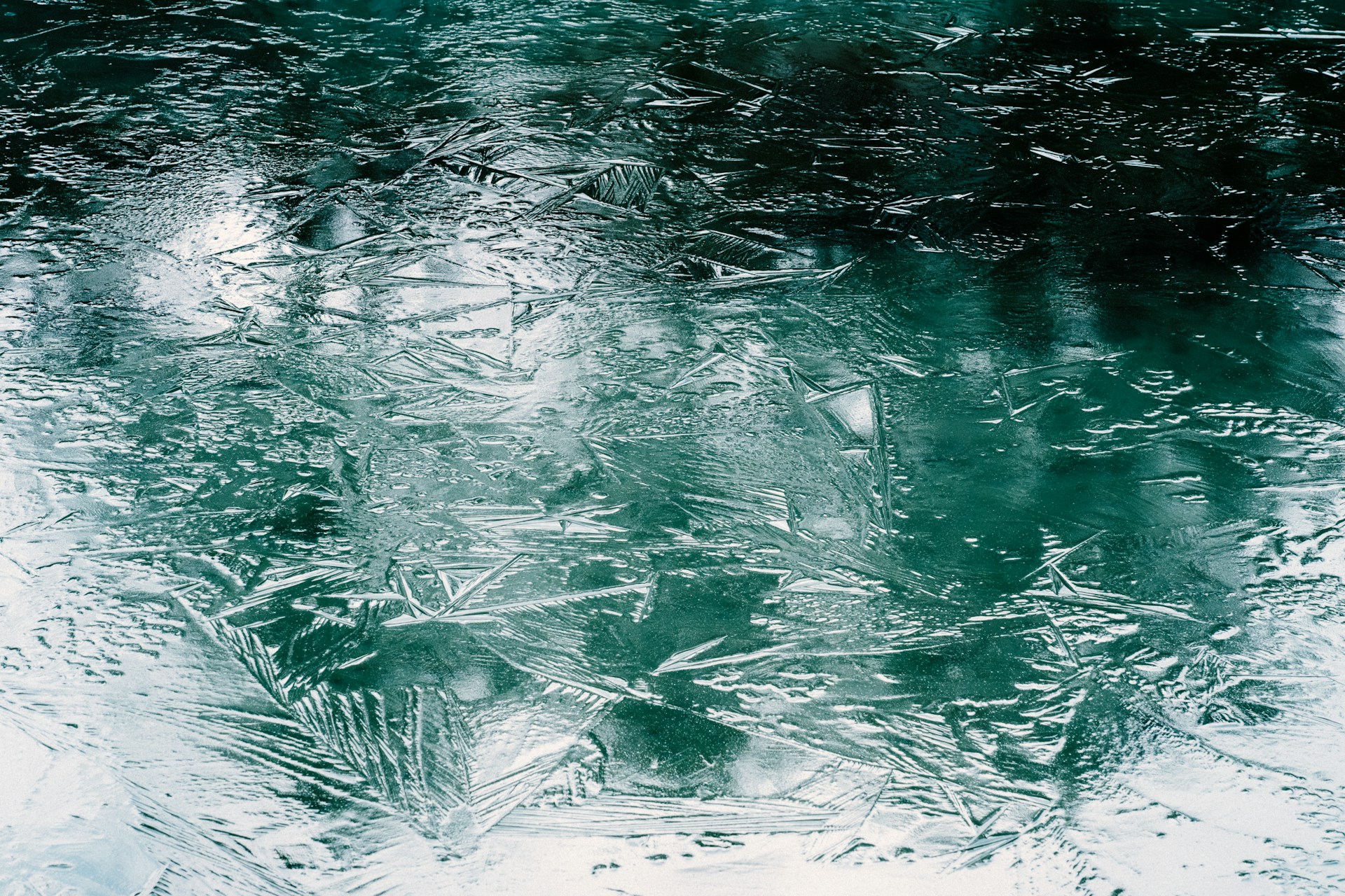 A close up of a snow covered ground with trees in the background