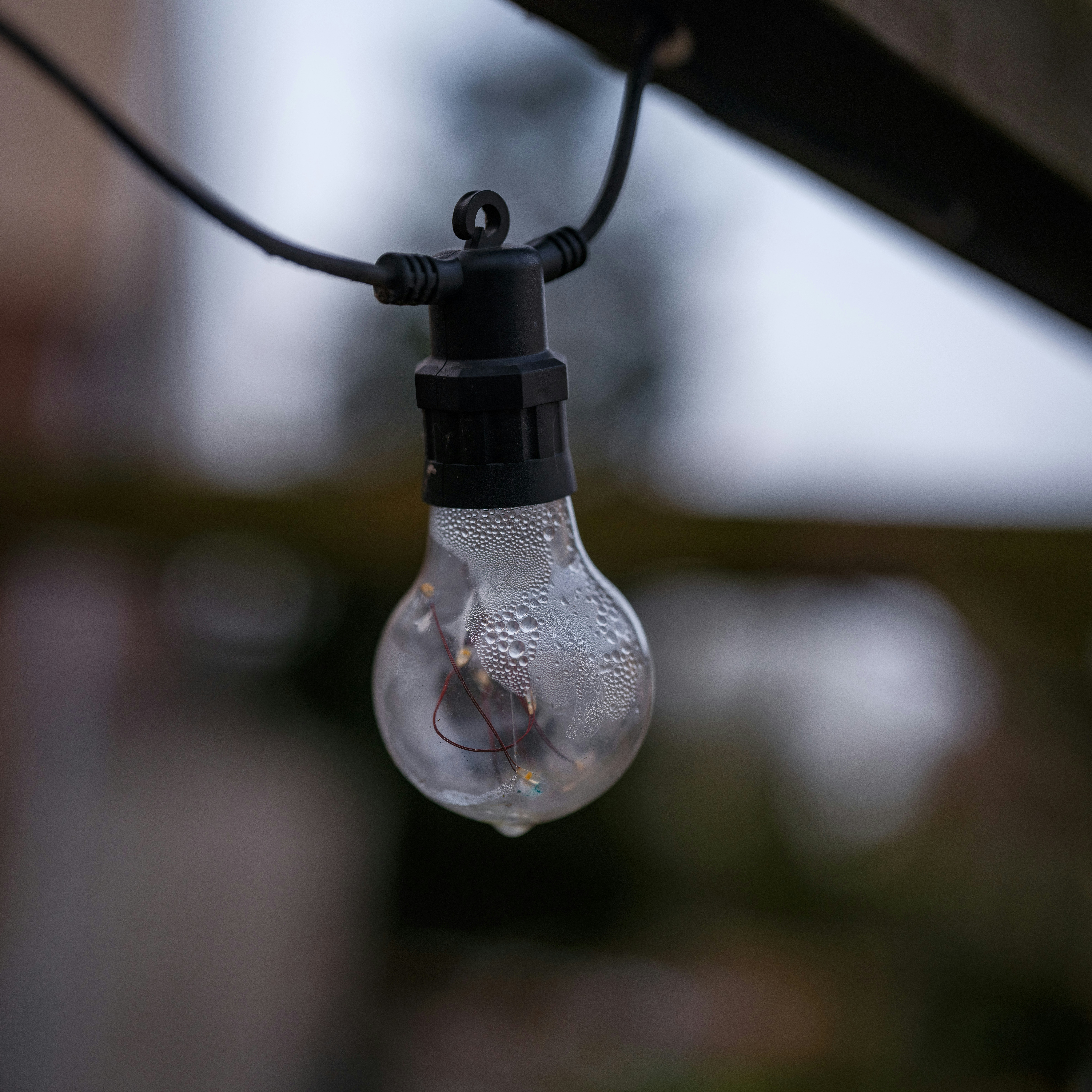 Photo by haberdoedas