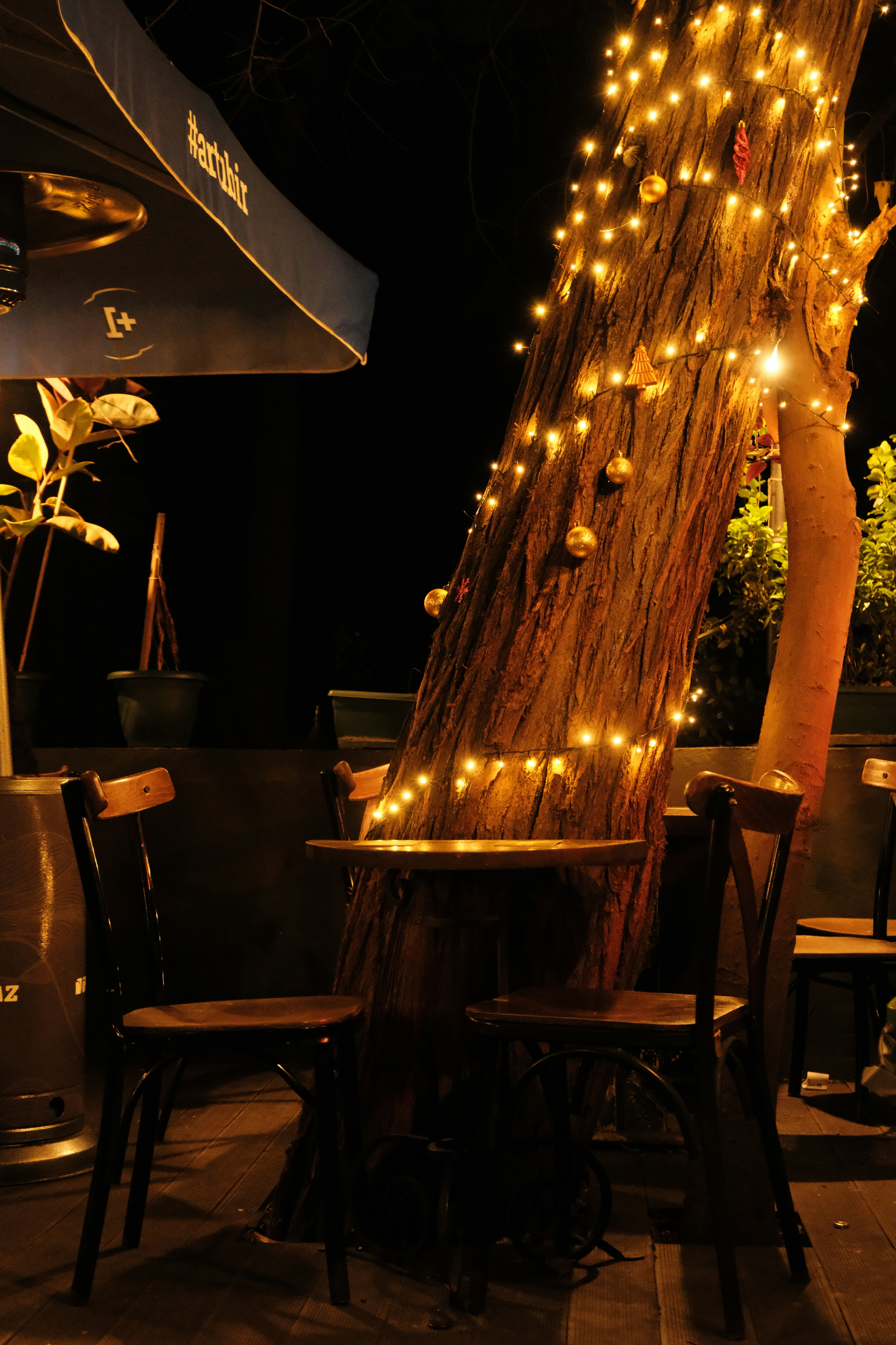 Photo by ismailefetop