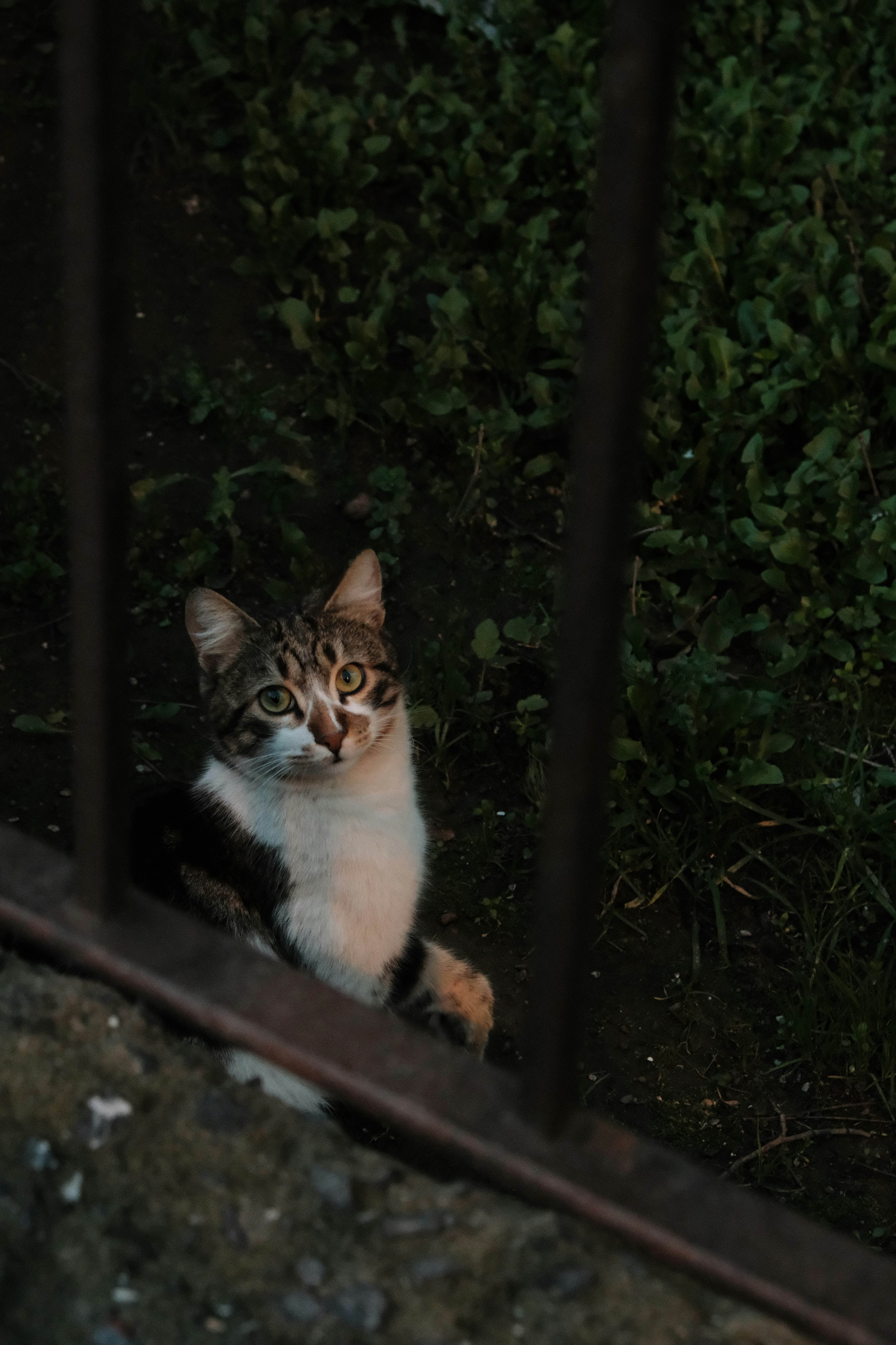 Photo by ismailefetop