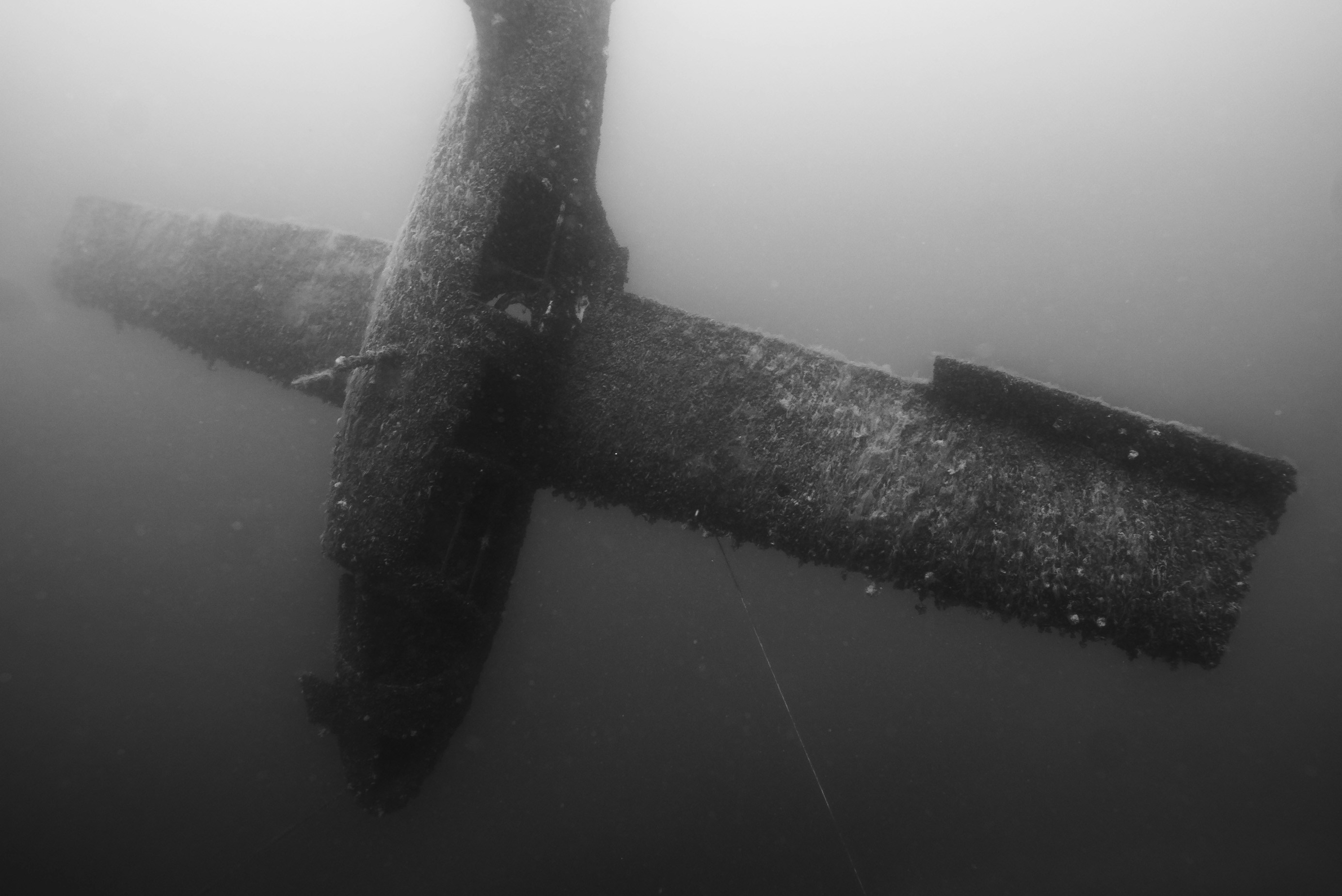 A plane is submerged in the water
