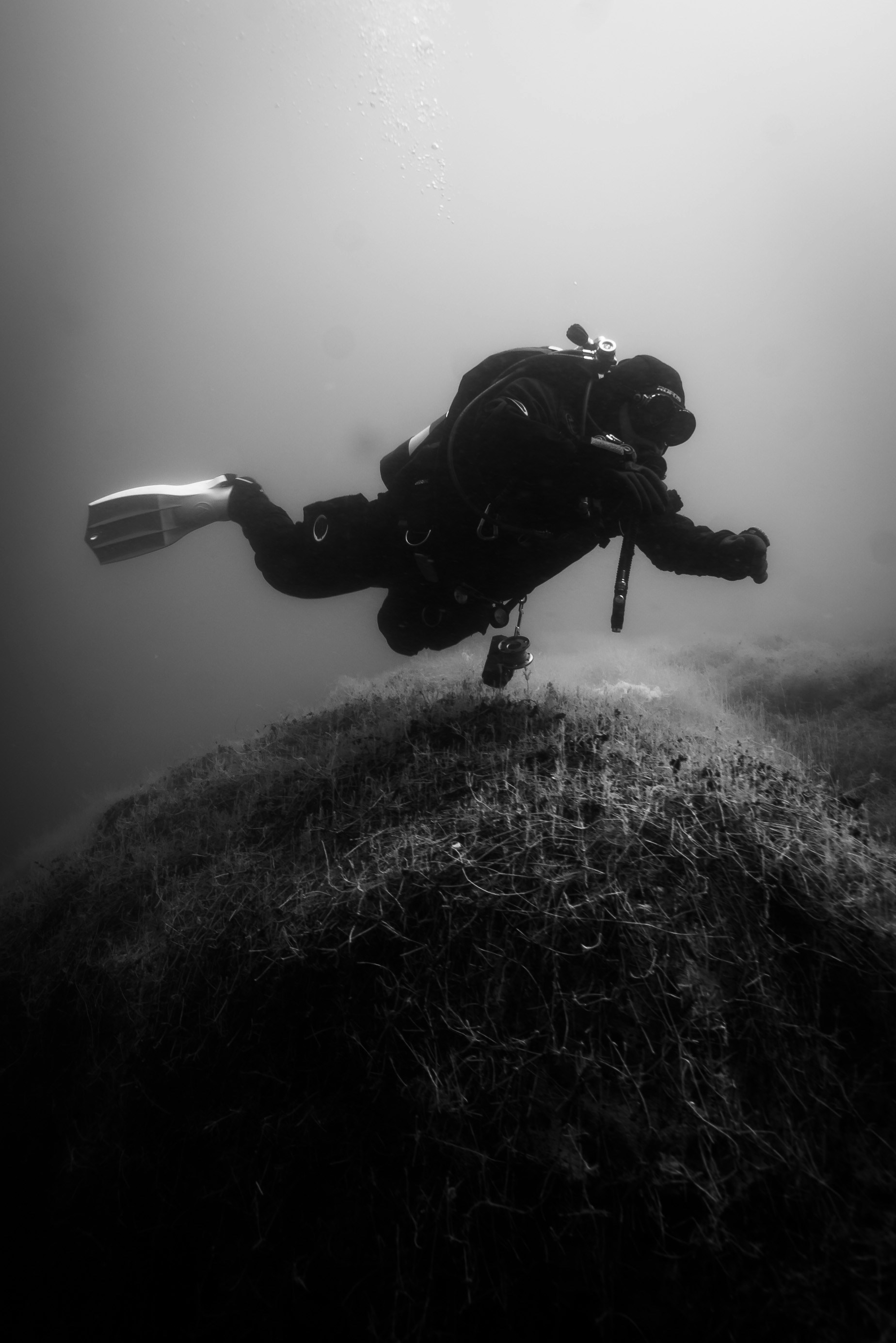 A scuba is diving in the water