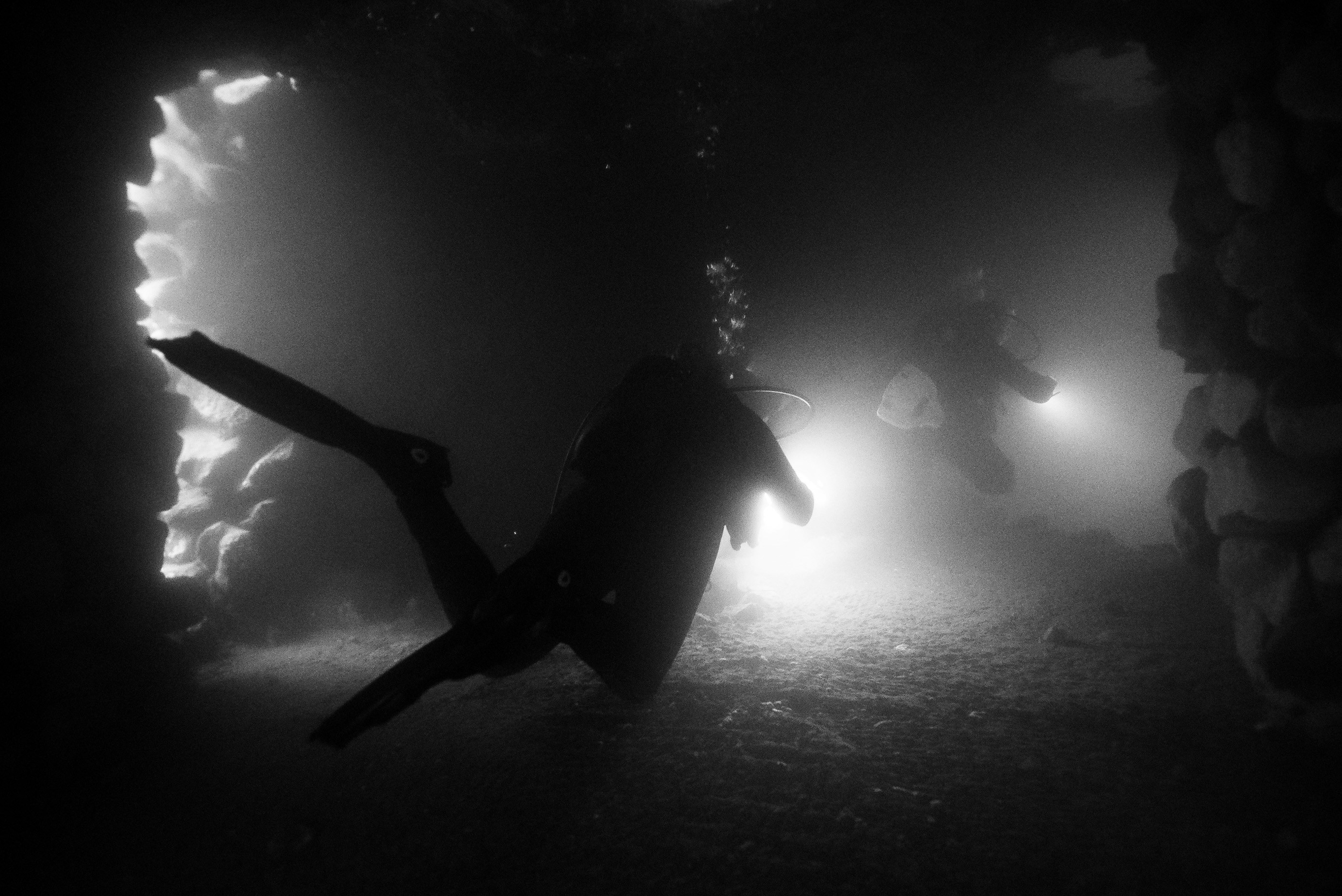 A black and white photo of a person in the fog
