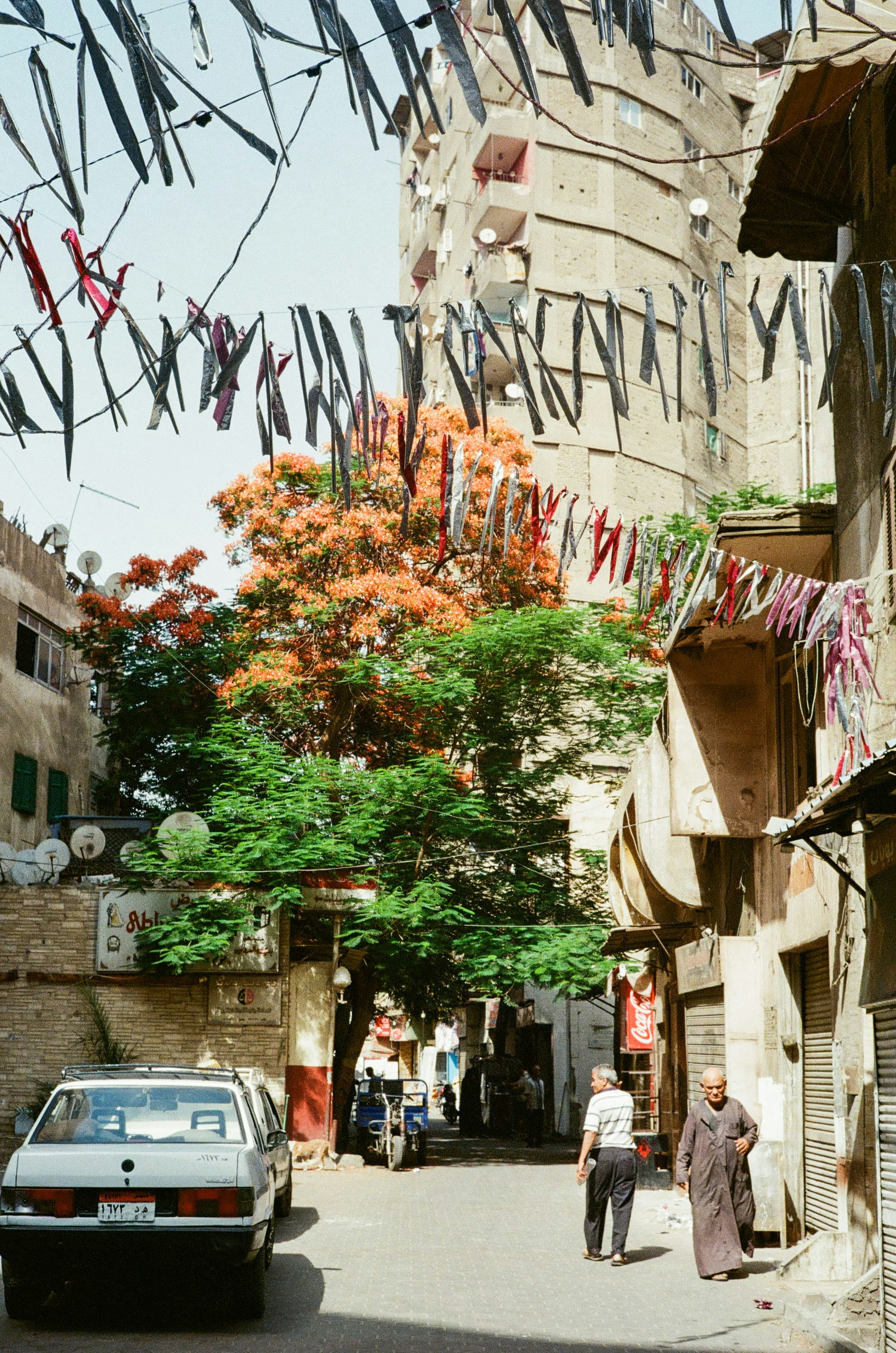 Photo by kennyzhang29