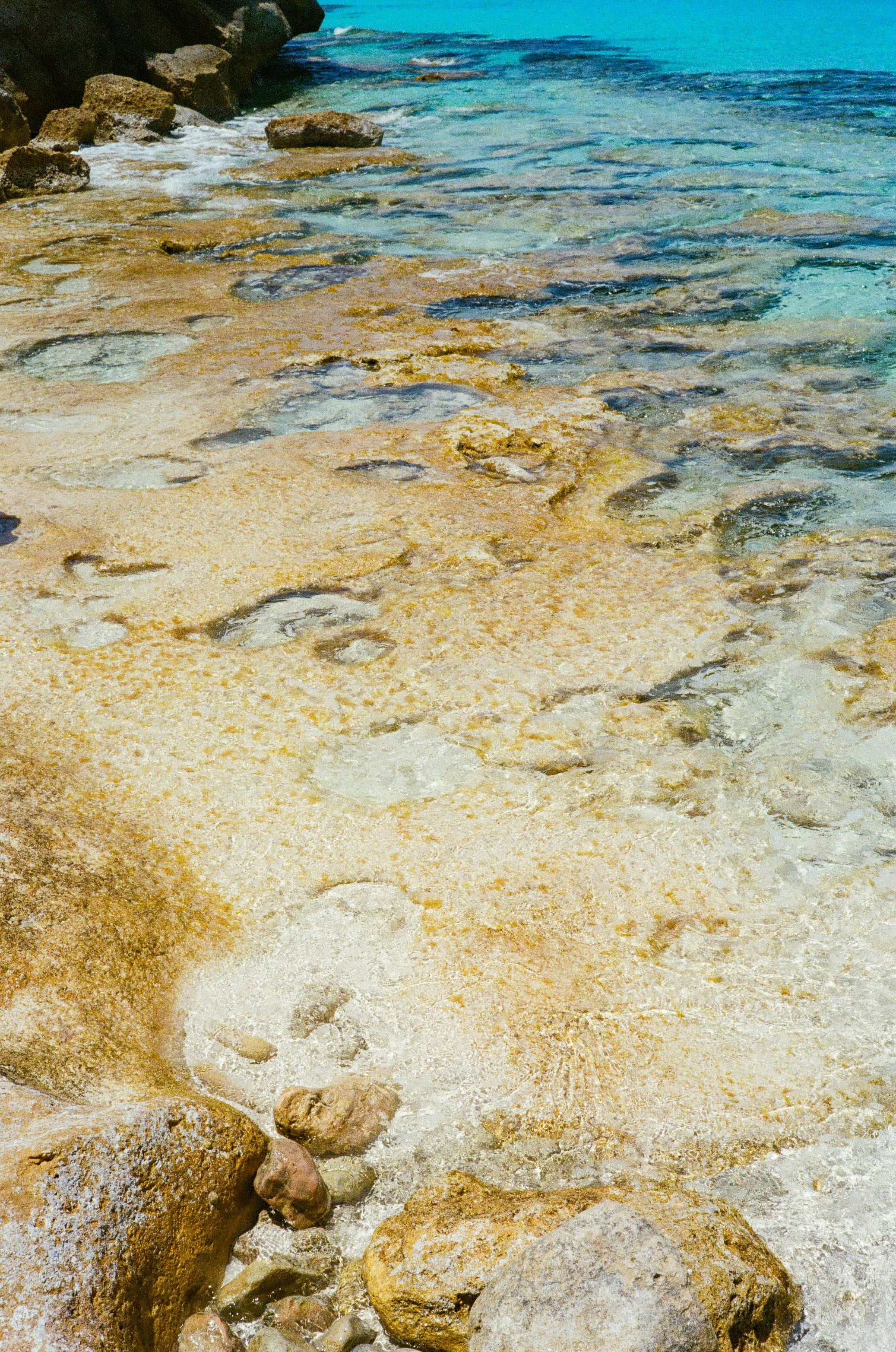 Photo by kennyzhang29