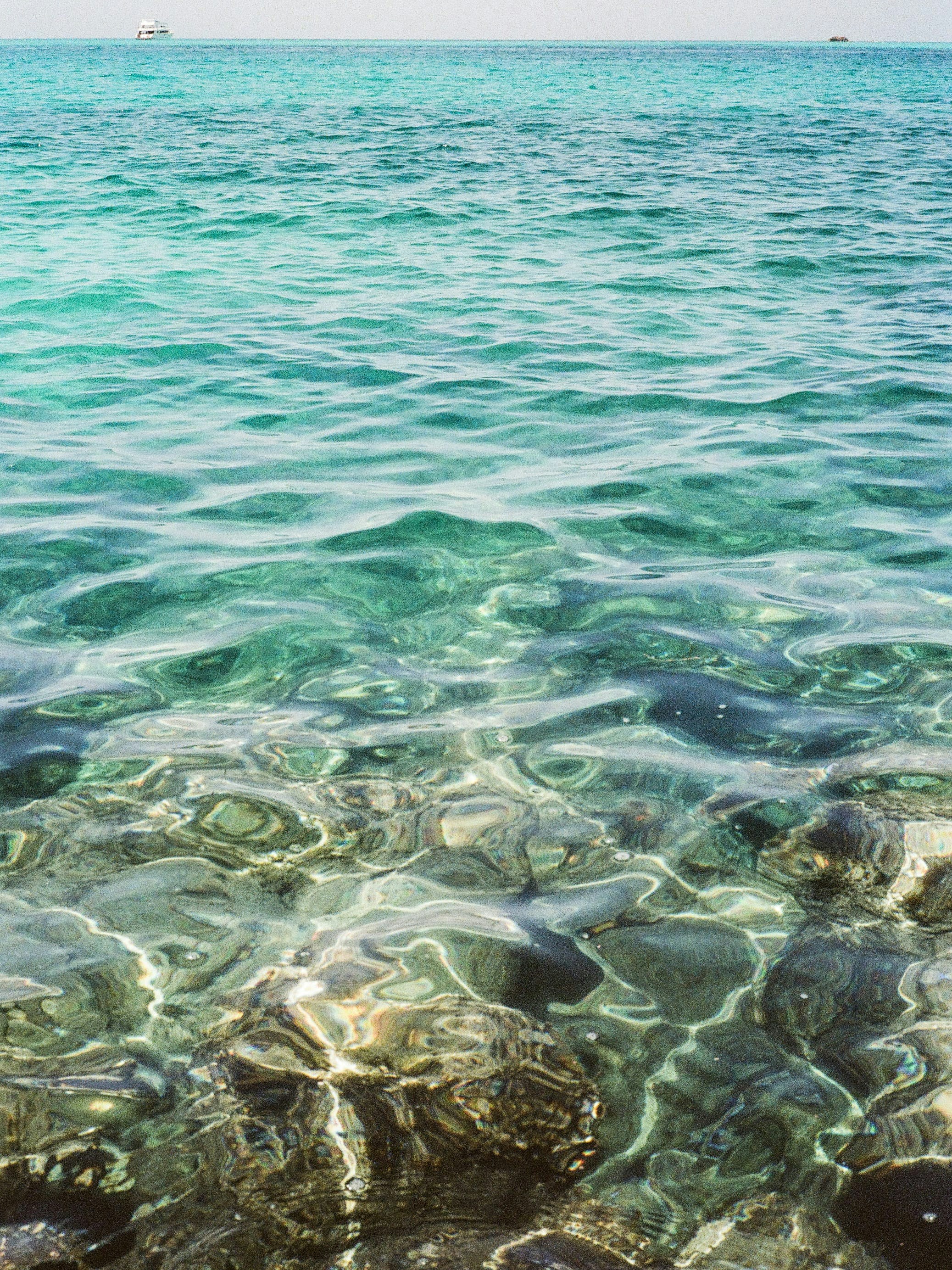 Photo by kennyzhang29