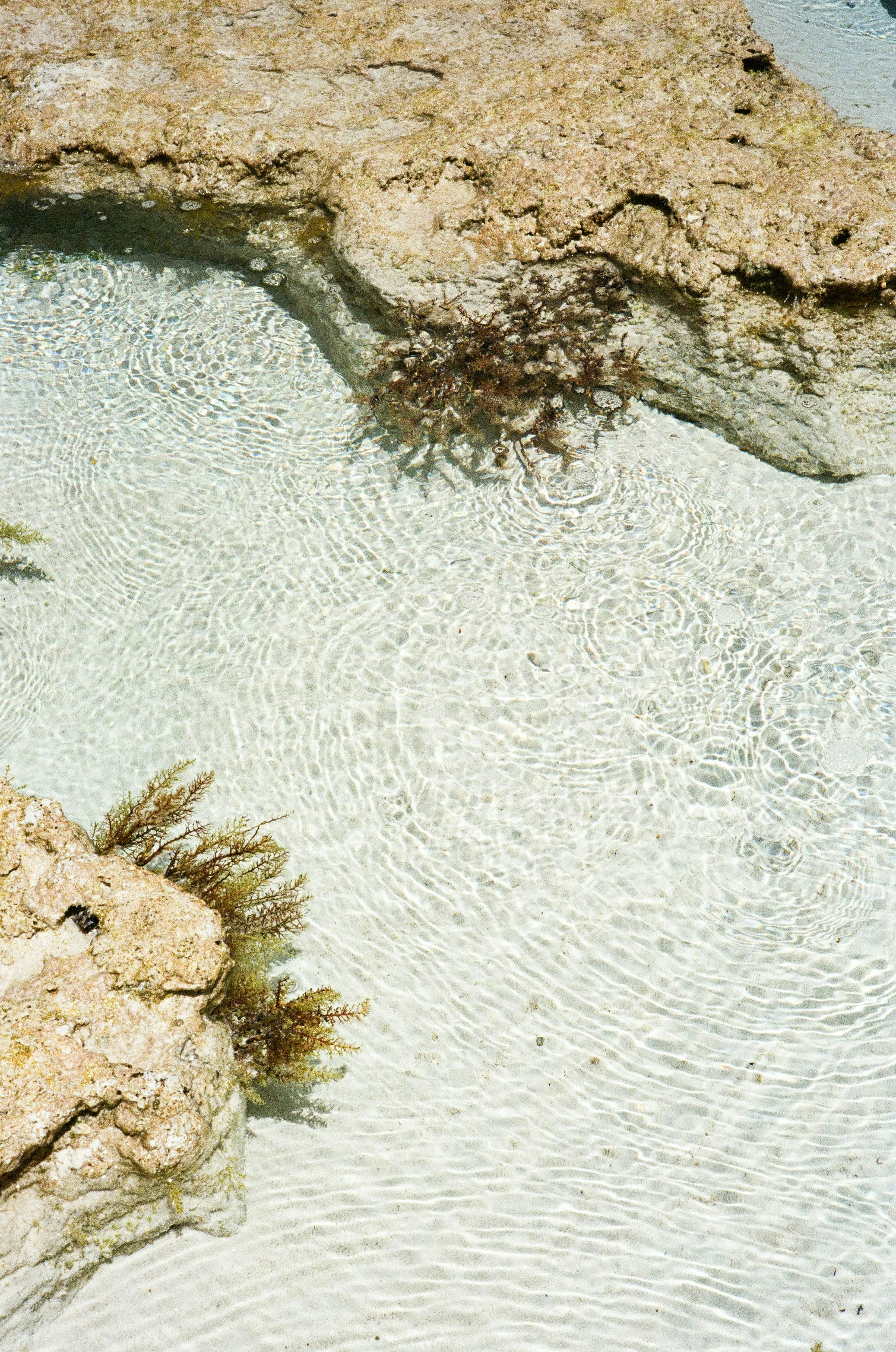 Photo by kennyzhang29