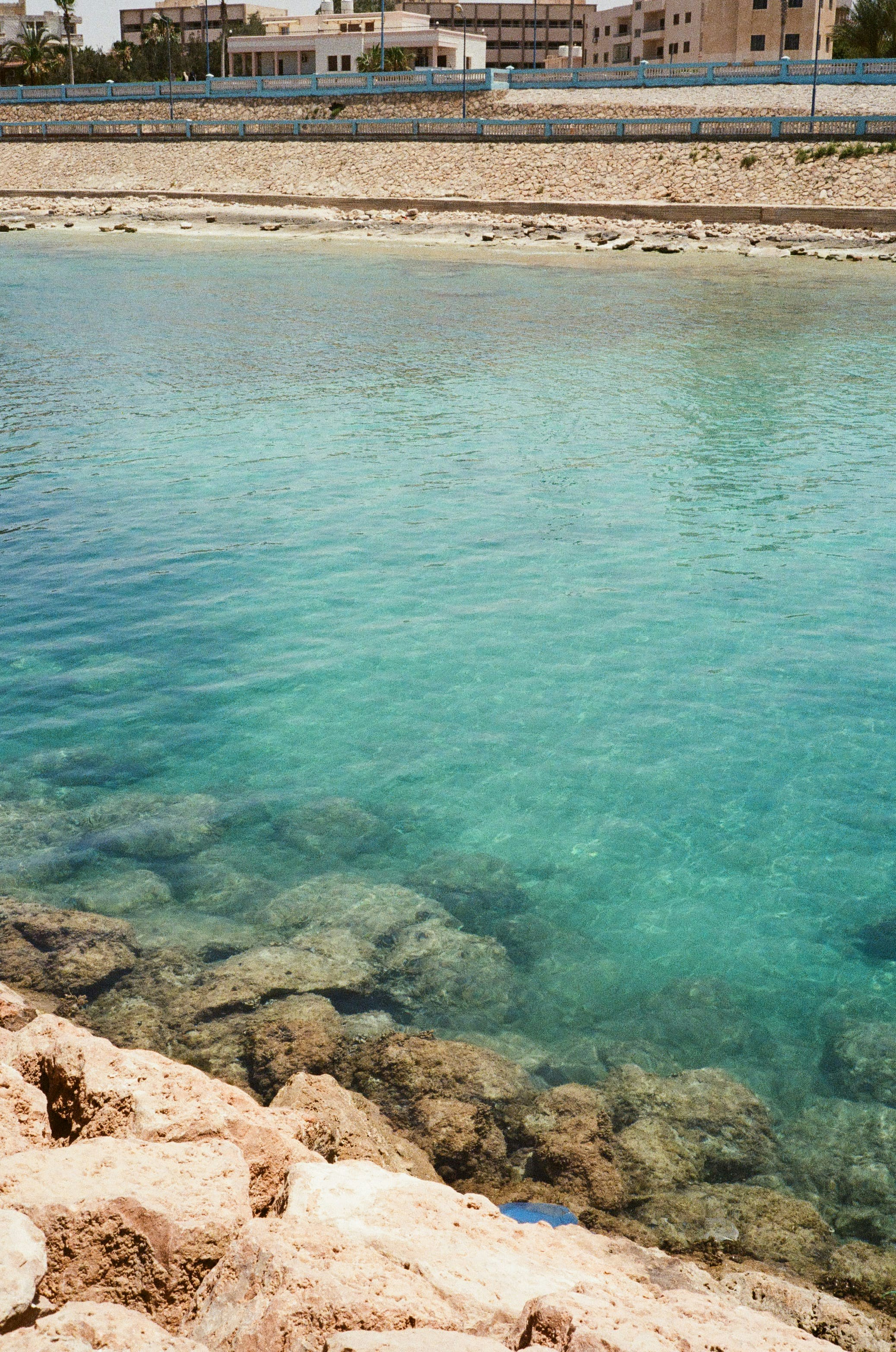 Photo by kennyzhang29