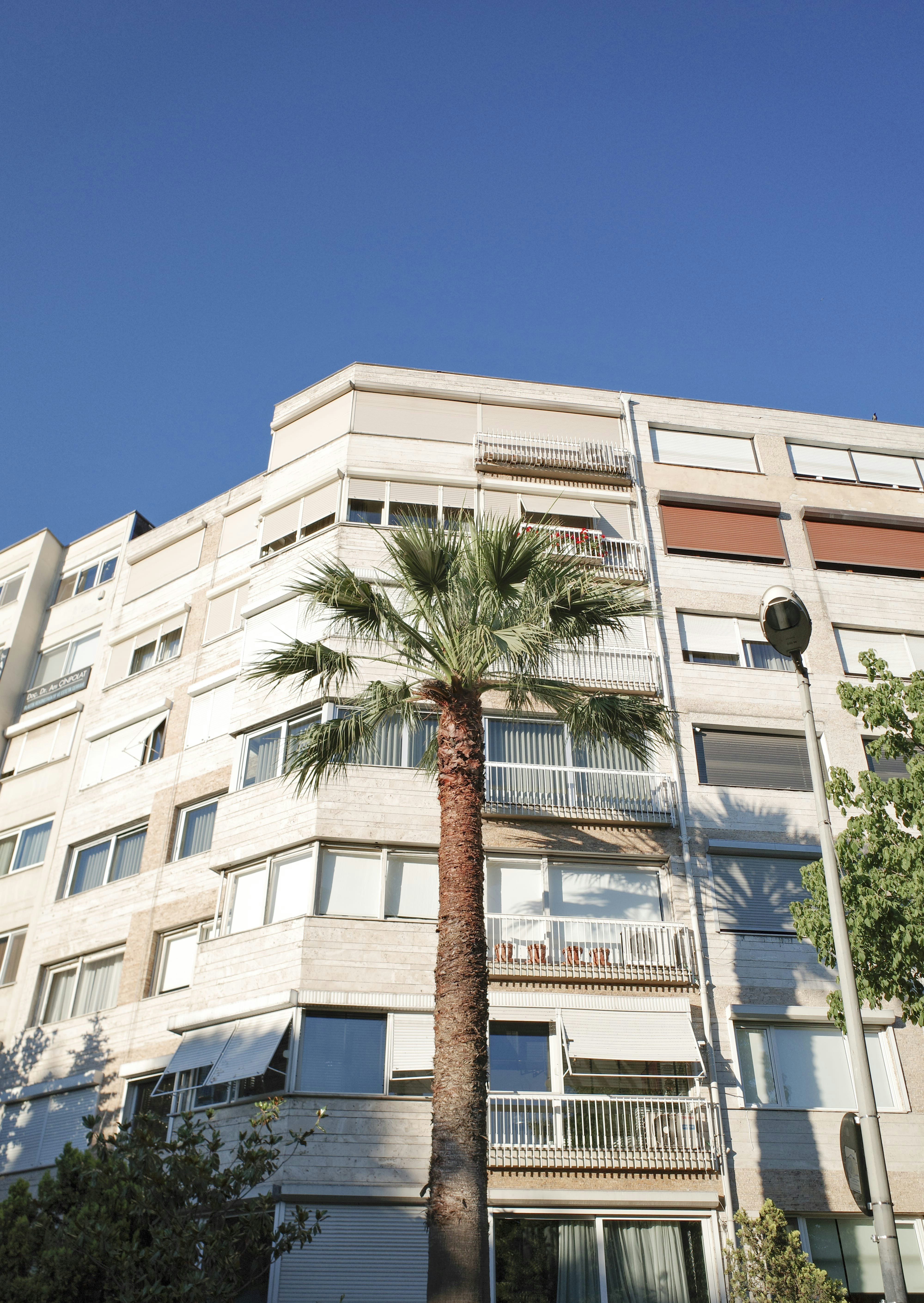 Photo by kennyzhang29