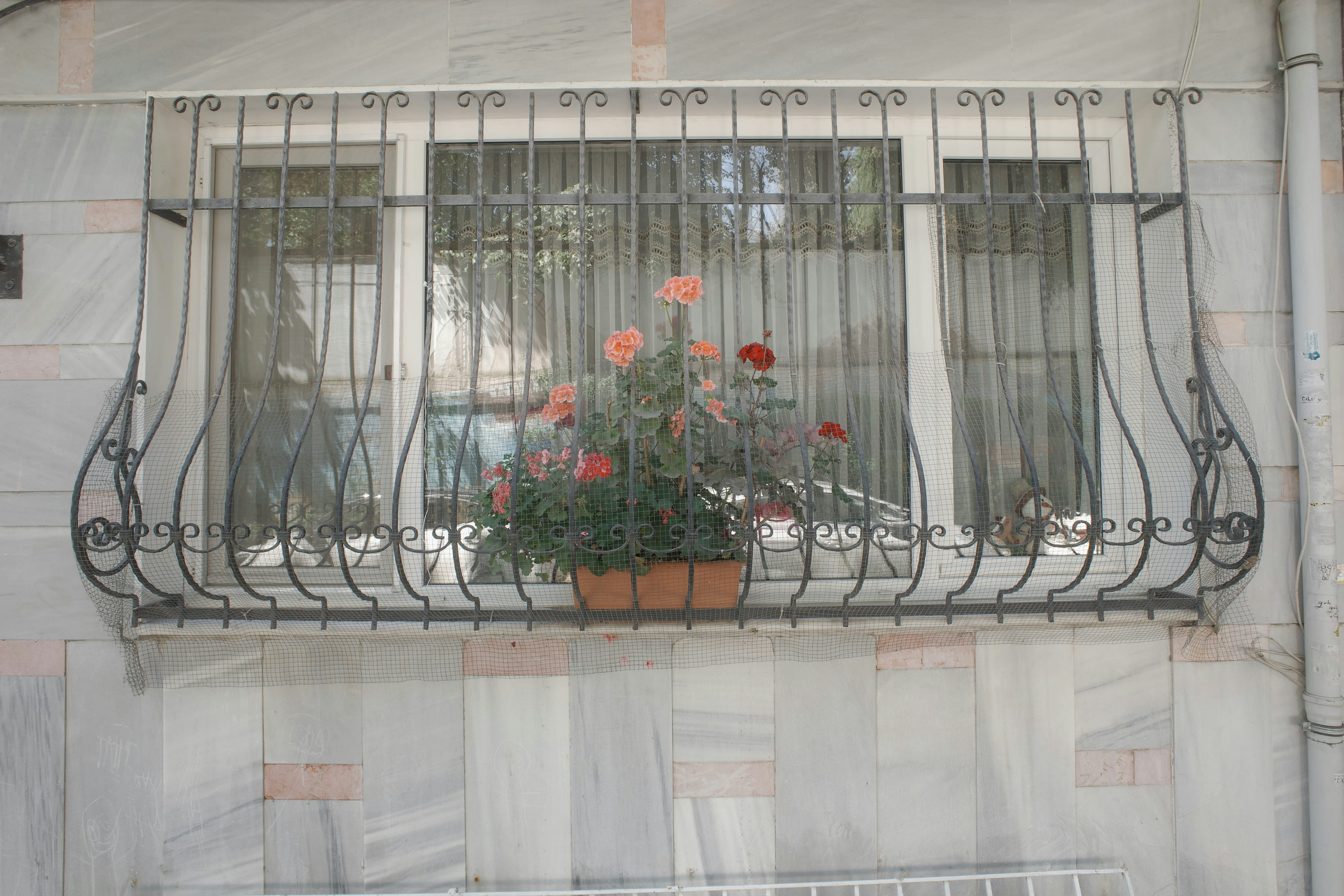 Photo by kennyzhang29