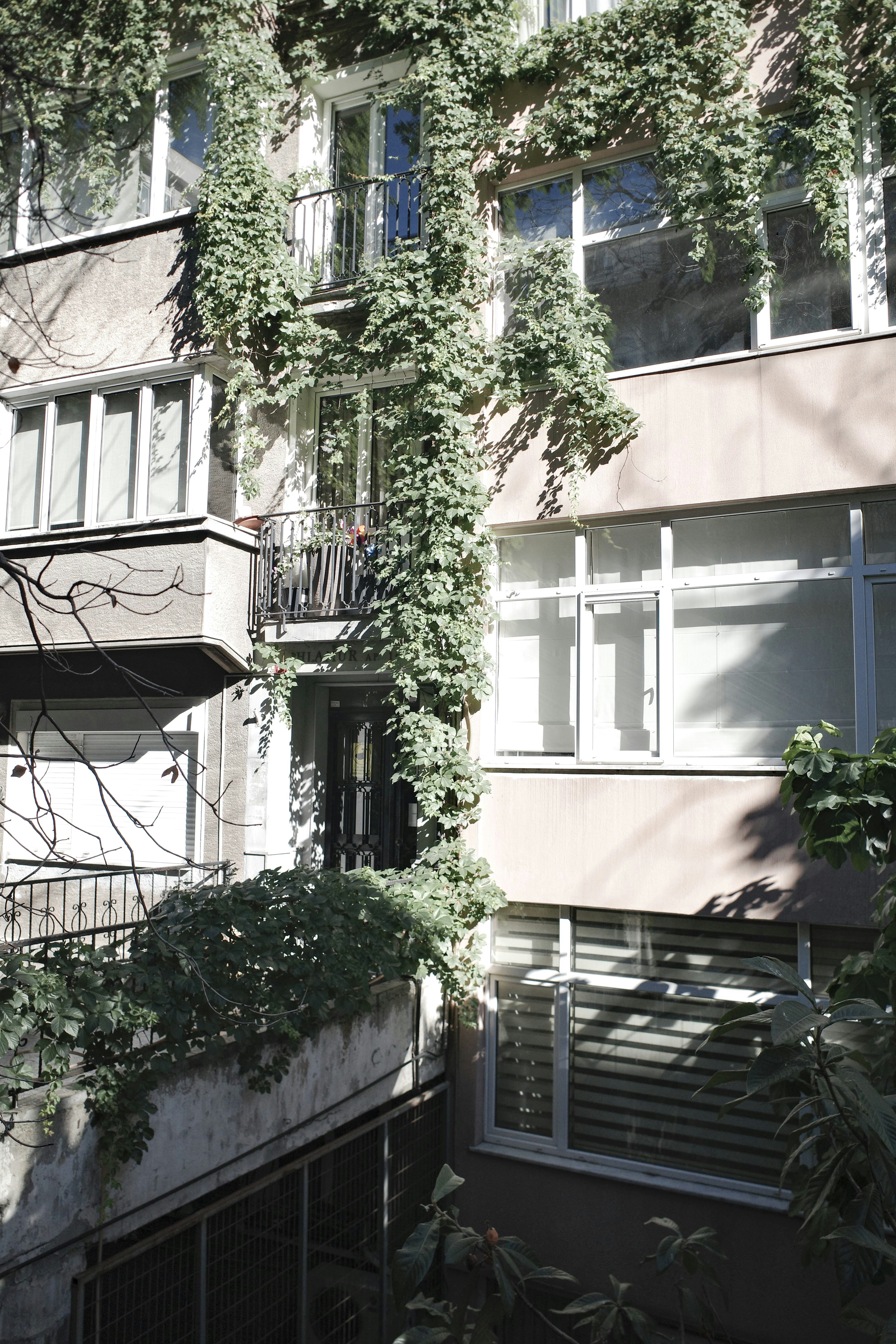 Photo by kennyzhang29