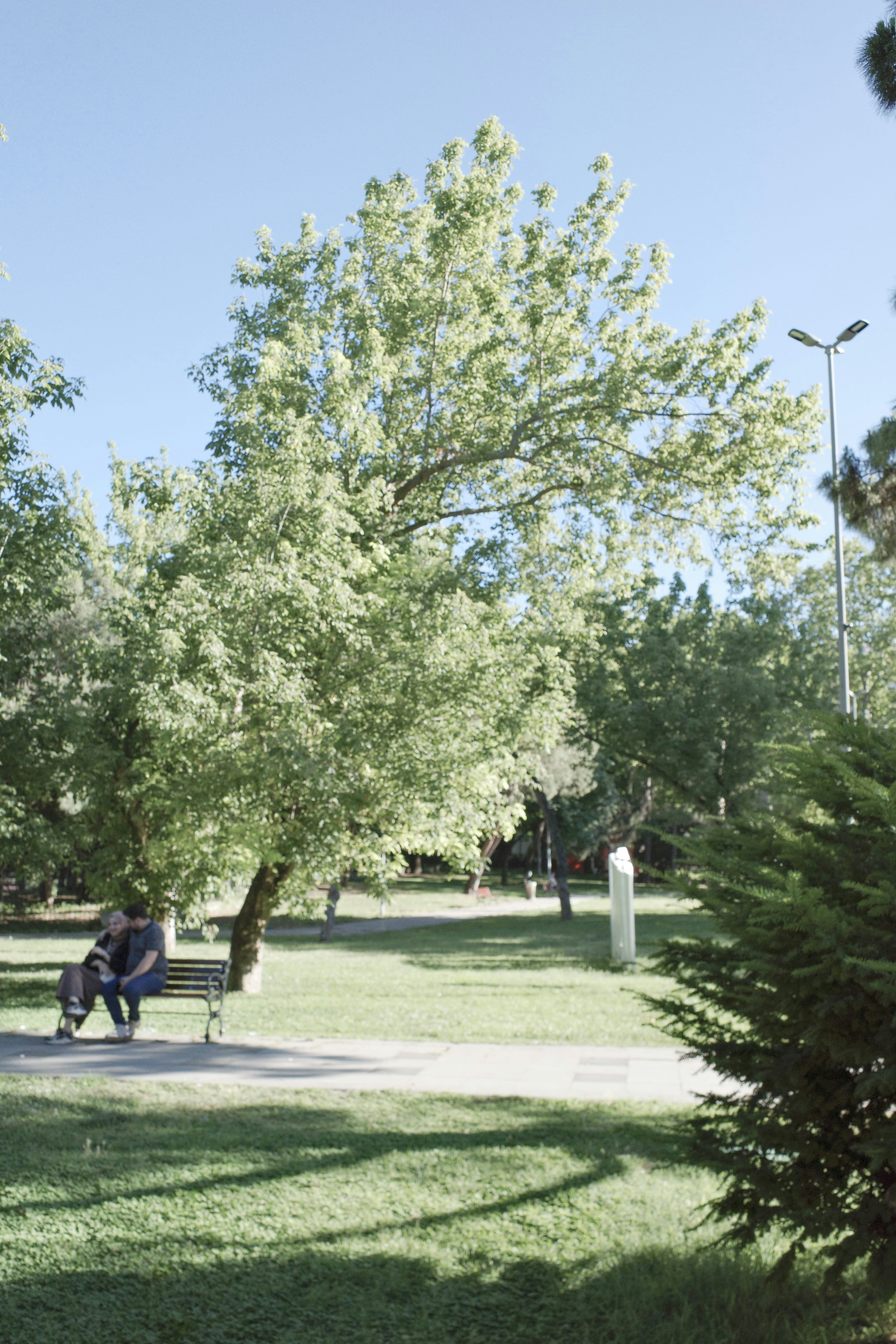 Photo by kennyzhang29