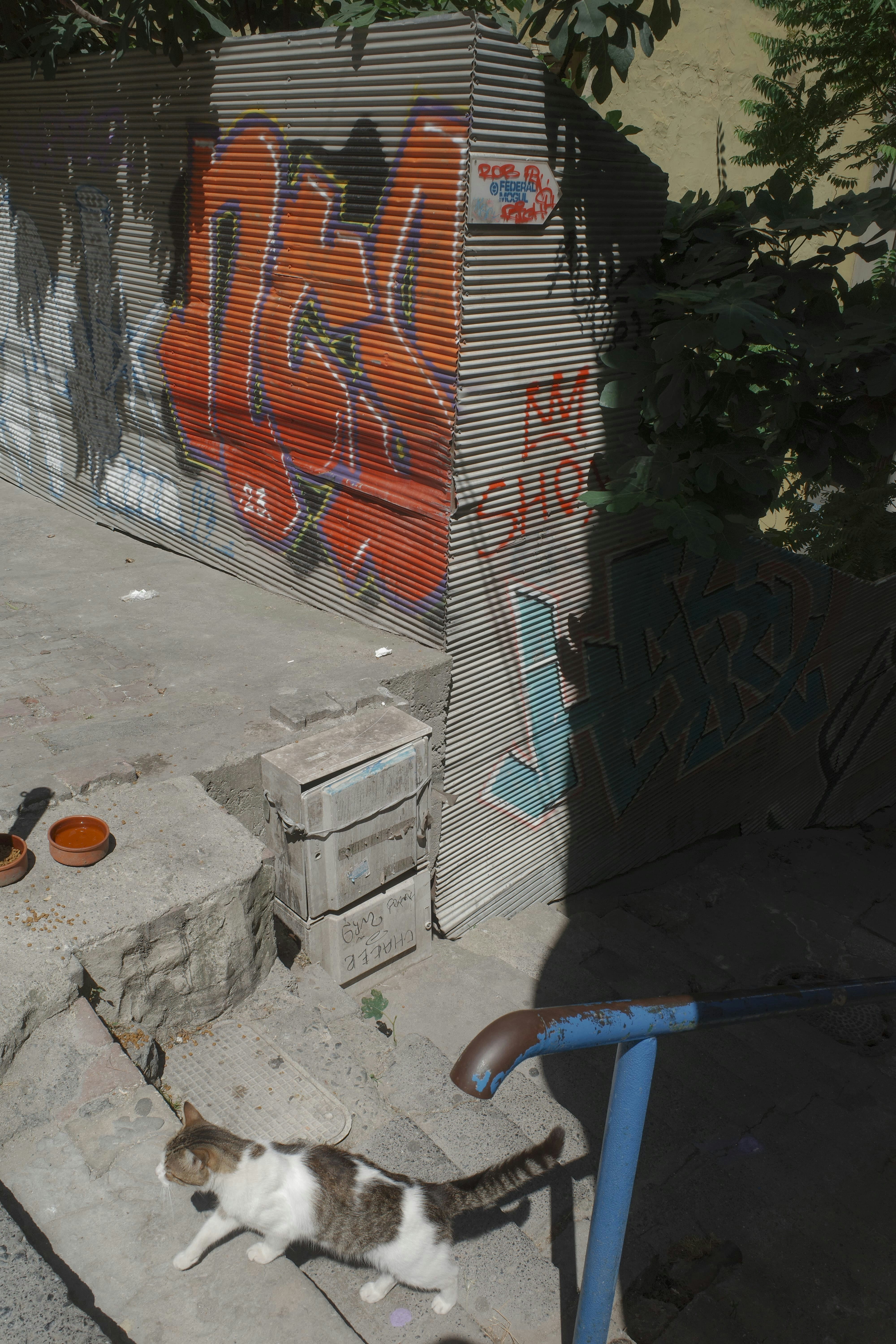 Photo by kennyzhang29