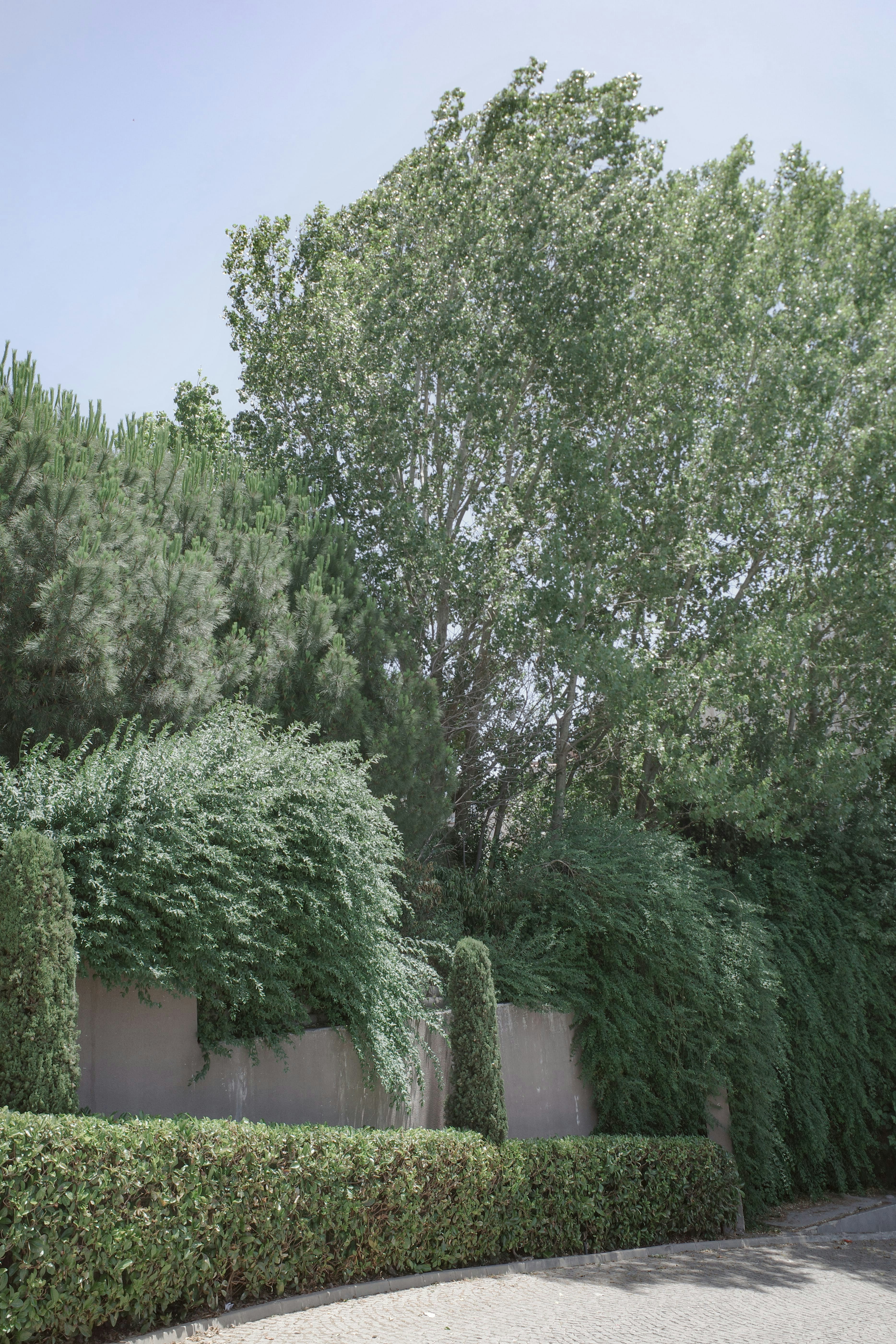 Photo by kennyzhang29