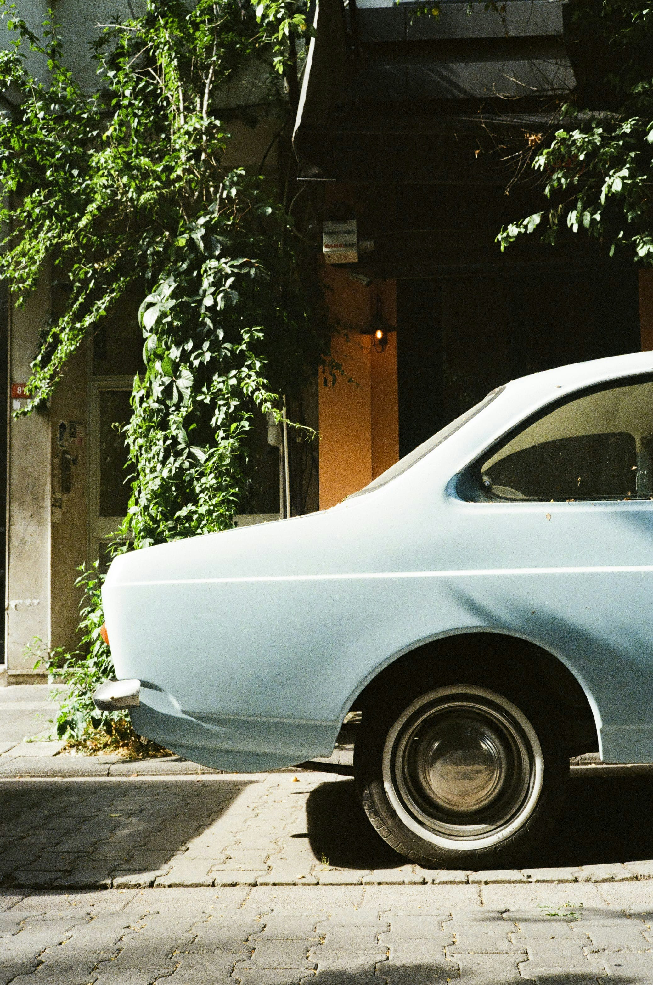 Photo by kennyzhang29