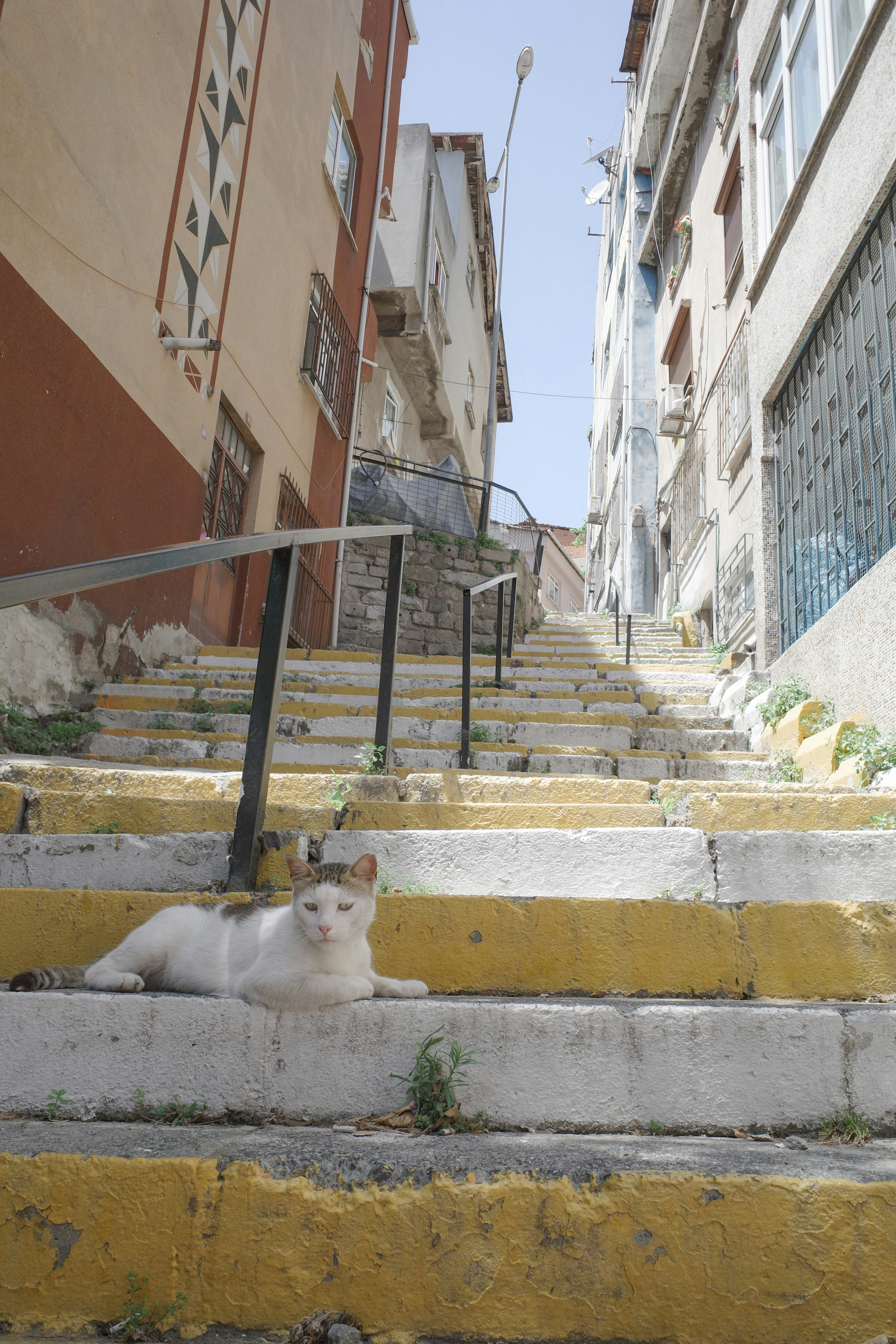 Photo by kennyzhang29