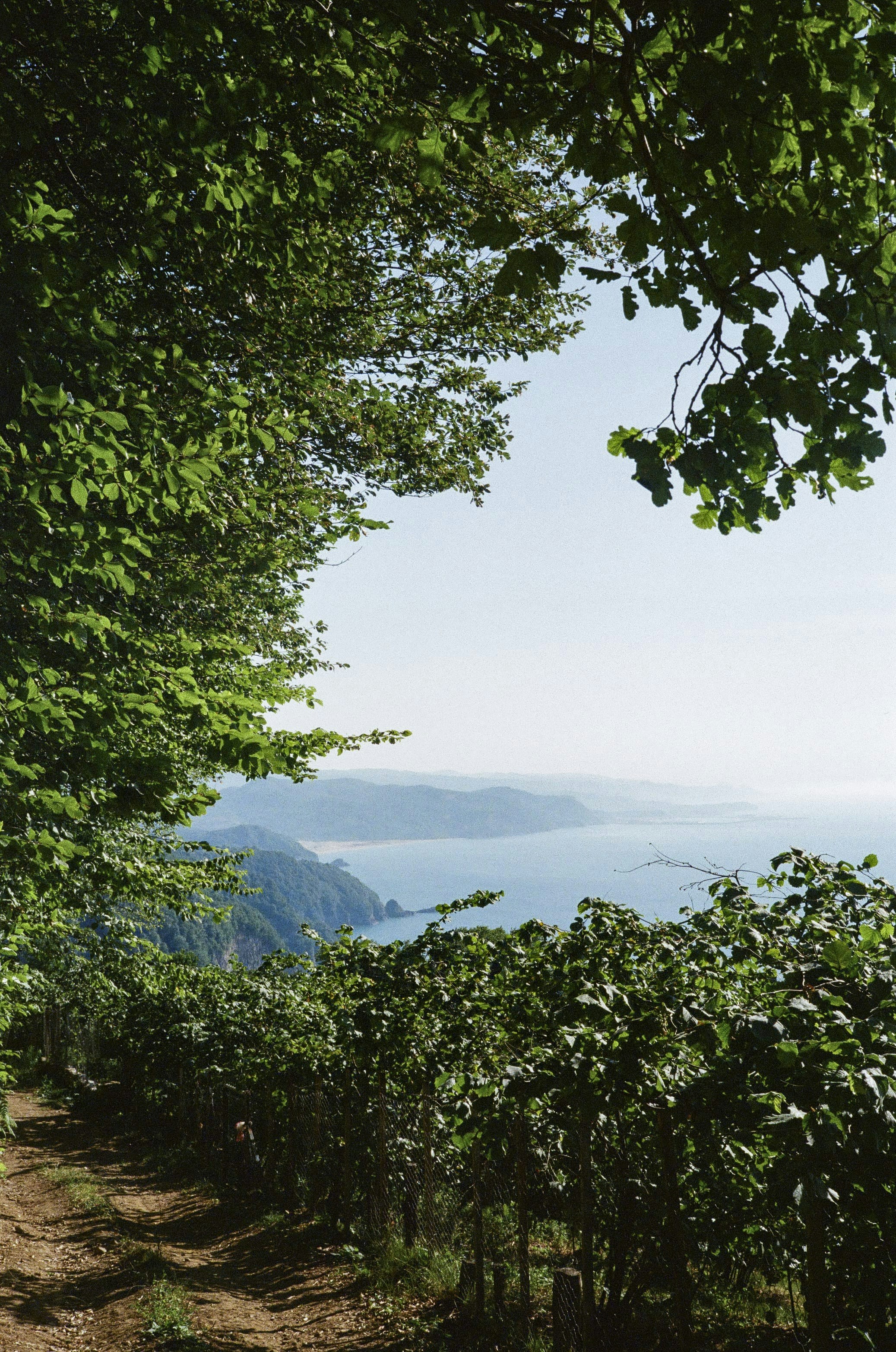 Photo by kennyzhang29